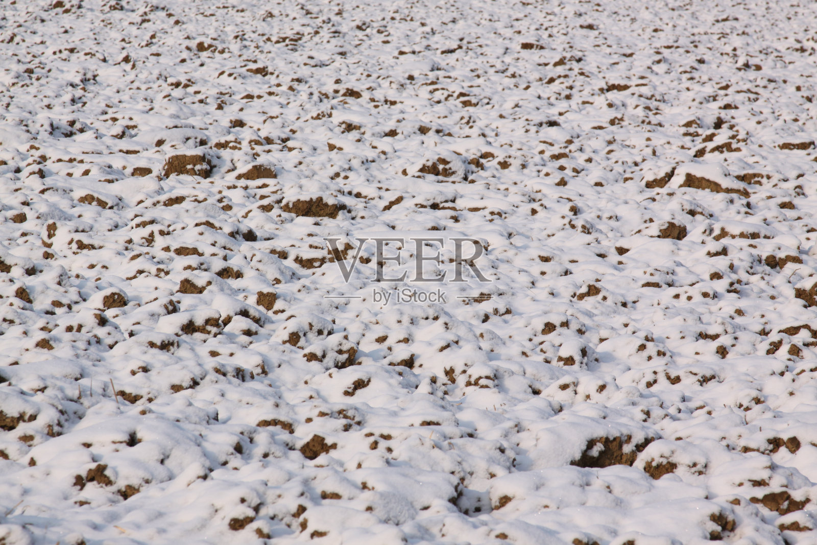 冬天的田野上覆盖着雪照片摄影图片