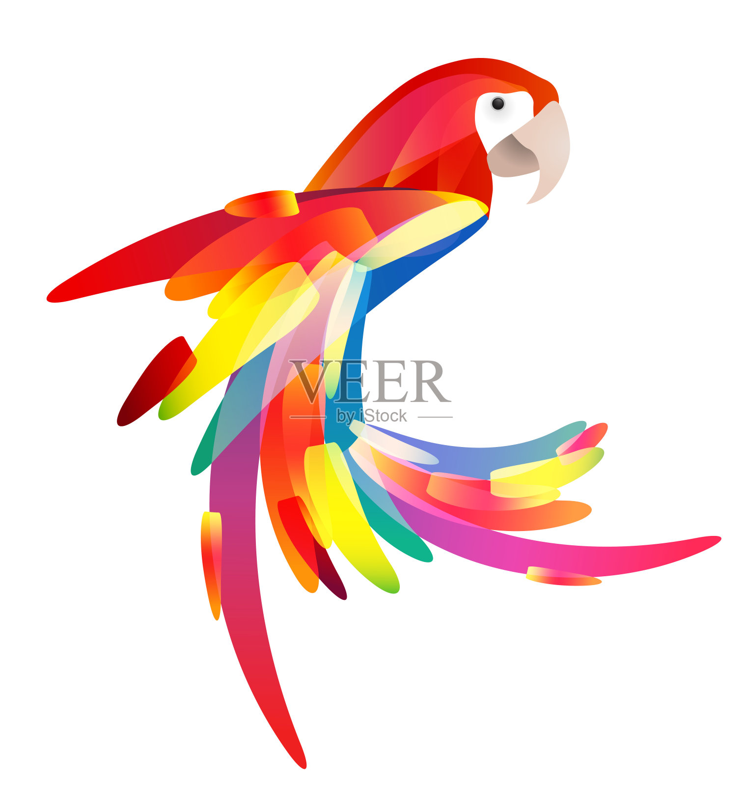 一只有多色尾巴的鹦鹉的风格化插图。设计元素图片