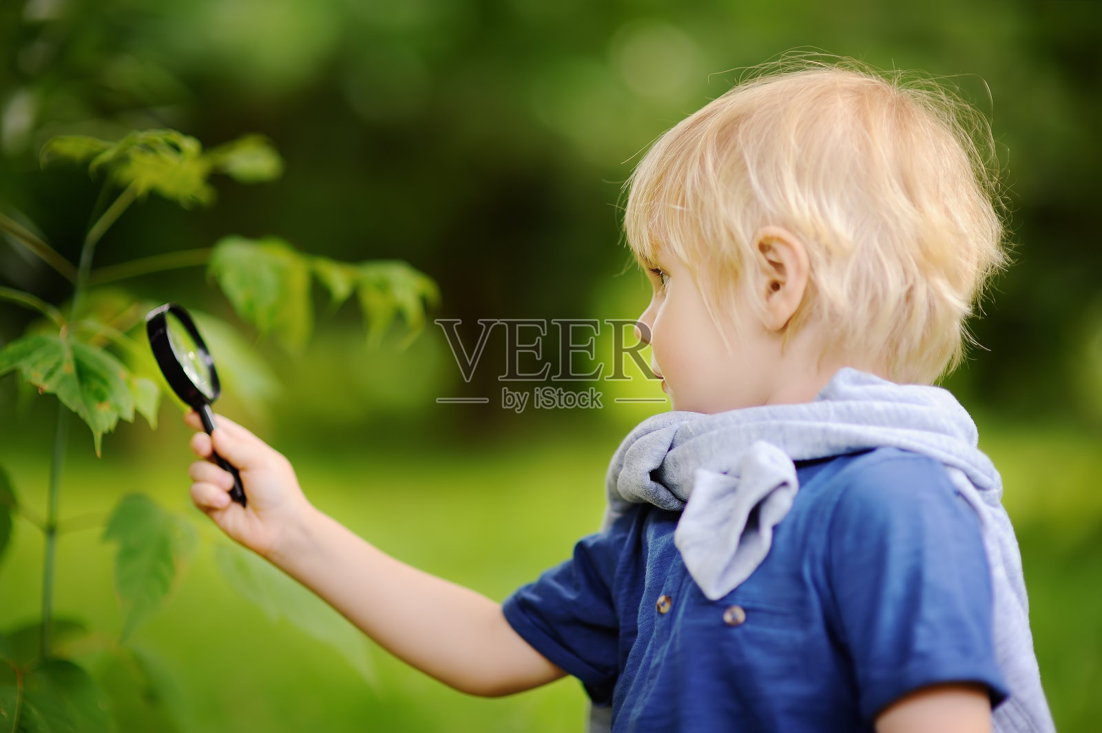 可爱的孩子用放大镜探索大自然照片摄影图片