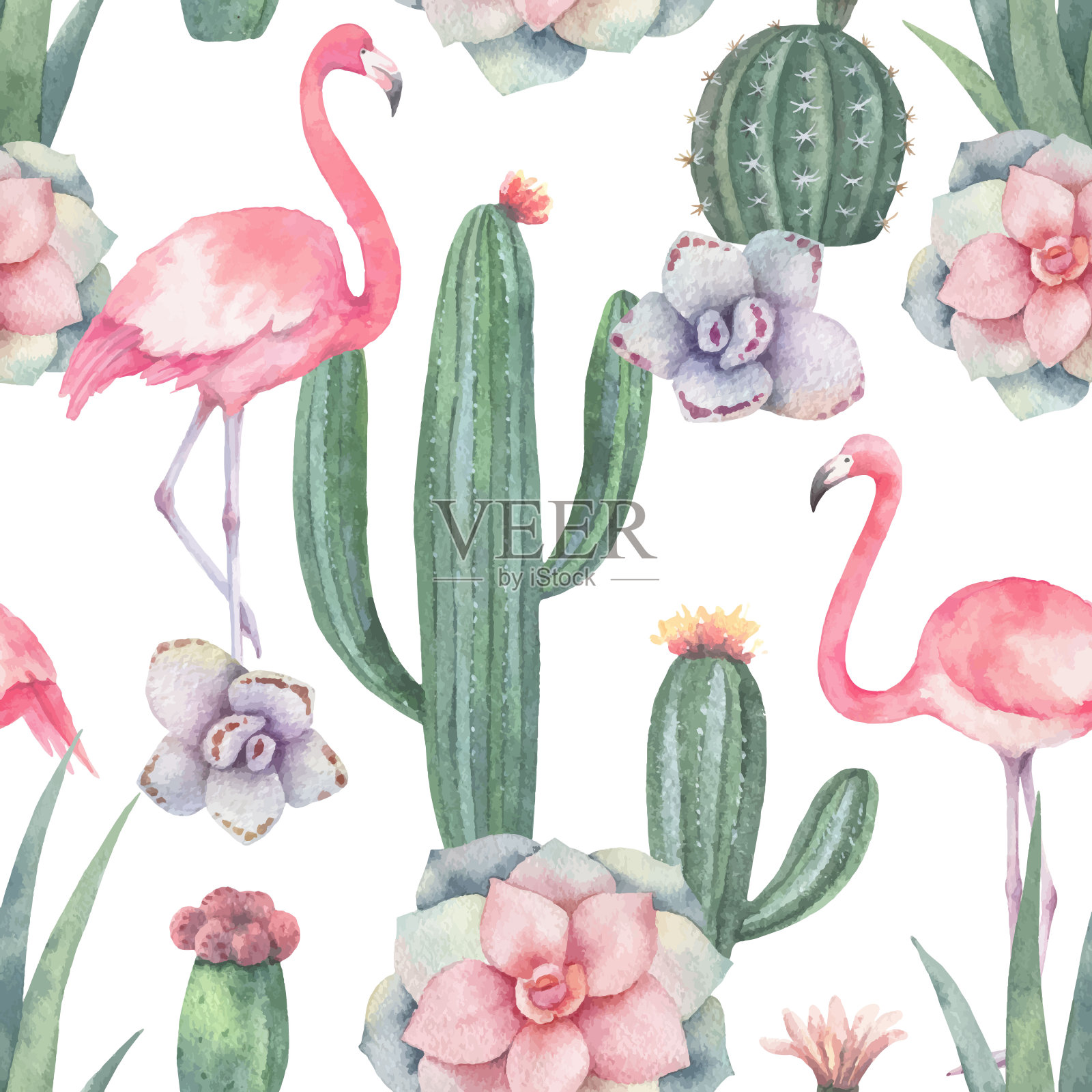 水彩矢量无缝模式粉红色火烈鸟，仙人掌和肉质植物孤立在白色的背景。插画图片素材