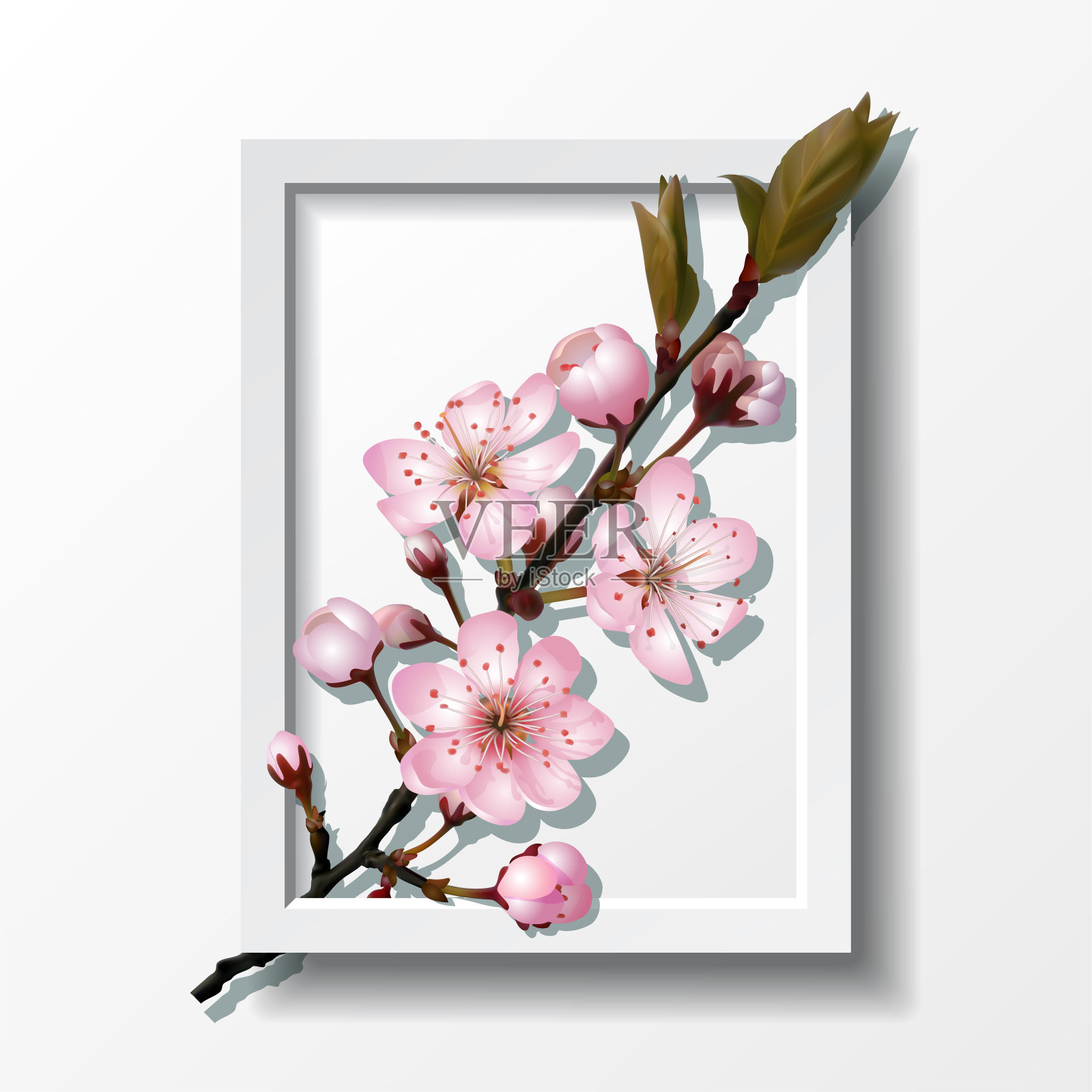镜框内的粉红色樱花枝设计元素图片