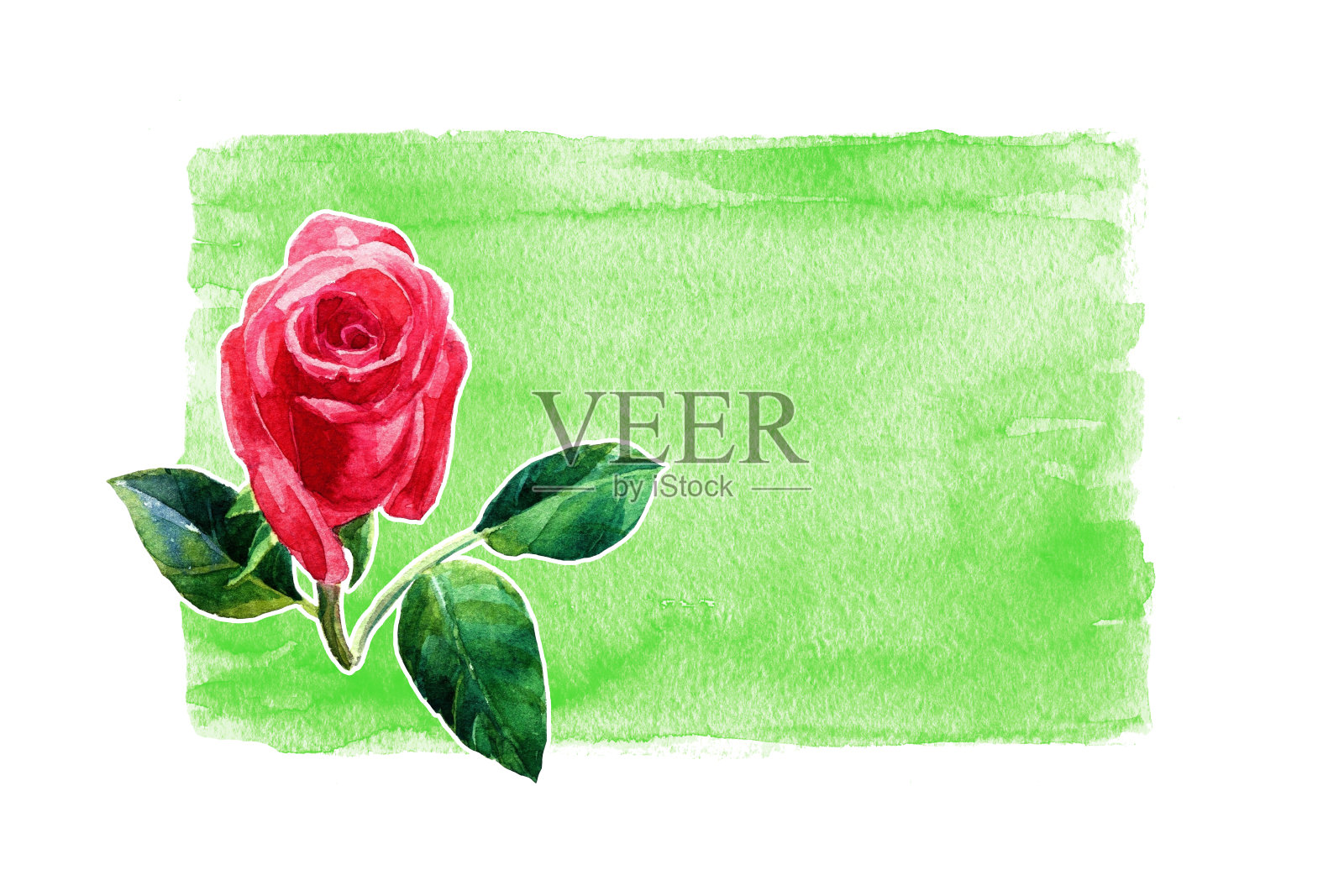 框架红玫瑰水彩孤立在白色背景。插画图片素材