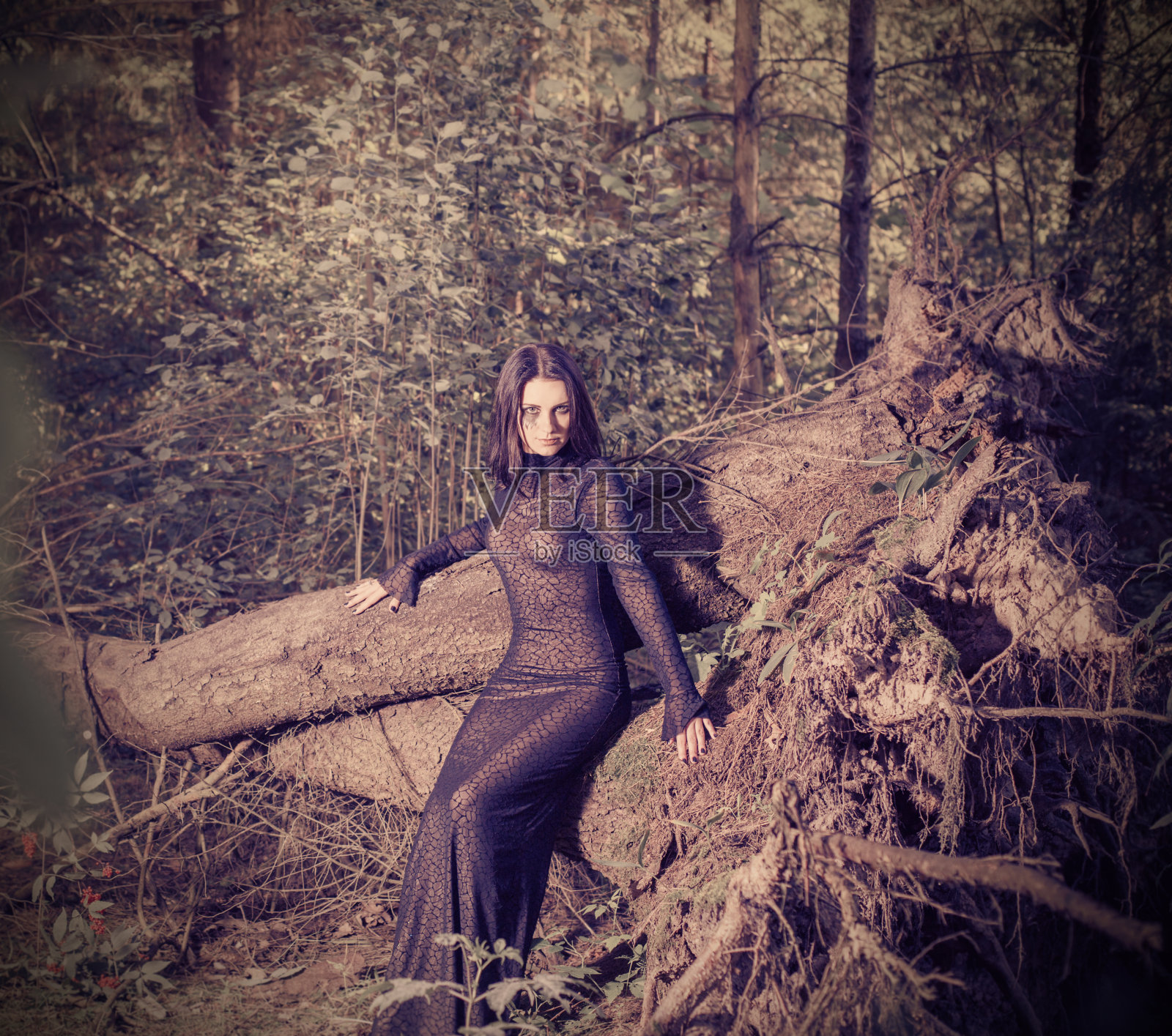 美丽的女巫在神秘的森林里摆姿势照片摄影图片