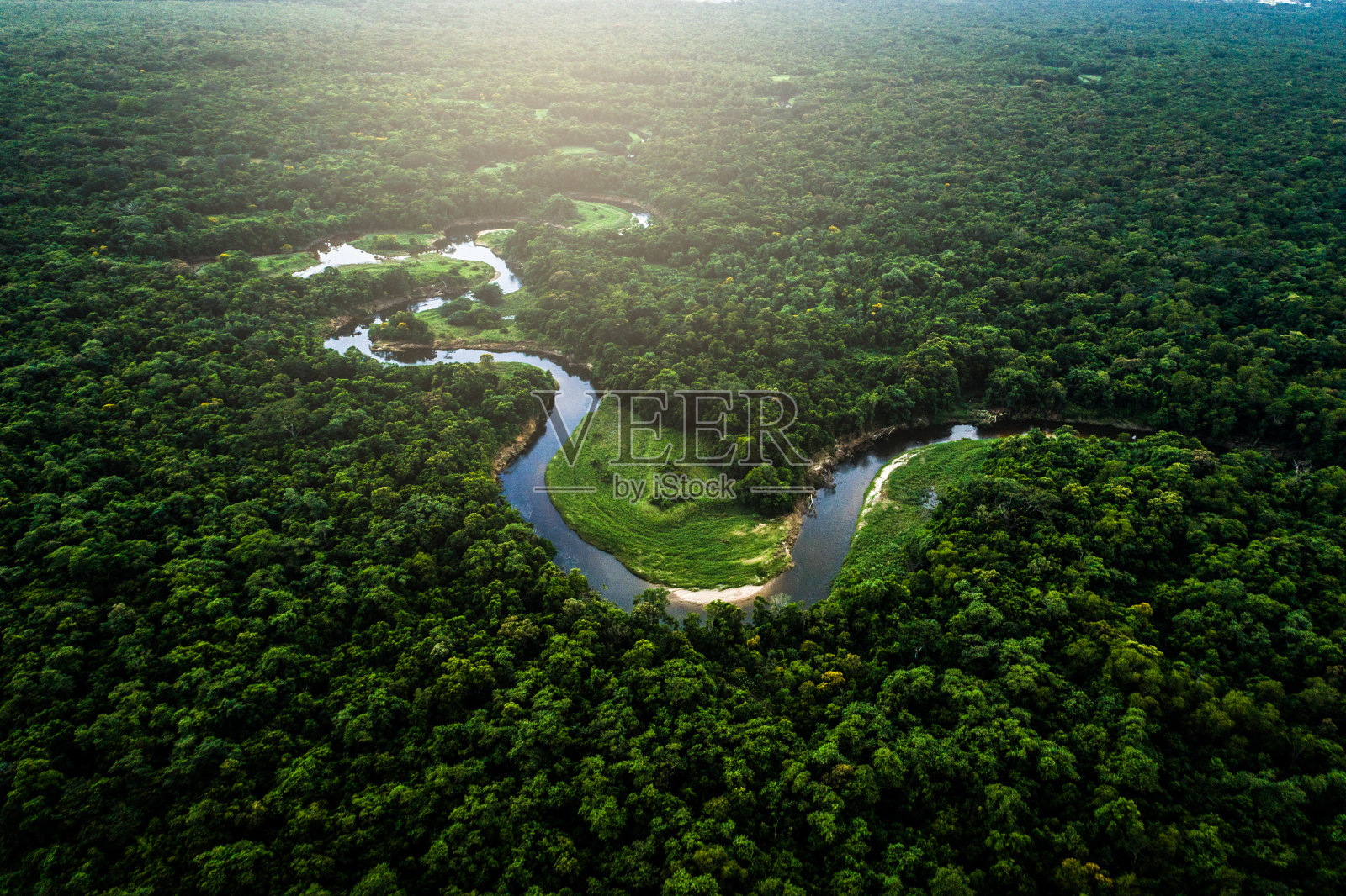玛塔亚特兰提卡-巴西的大西洋森林照片摄影图片