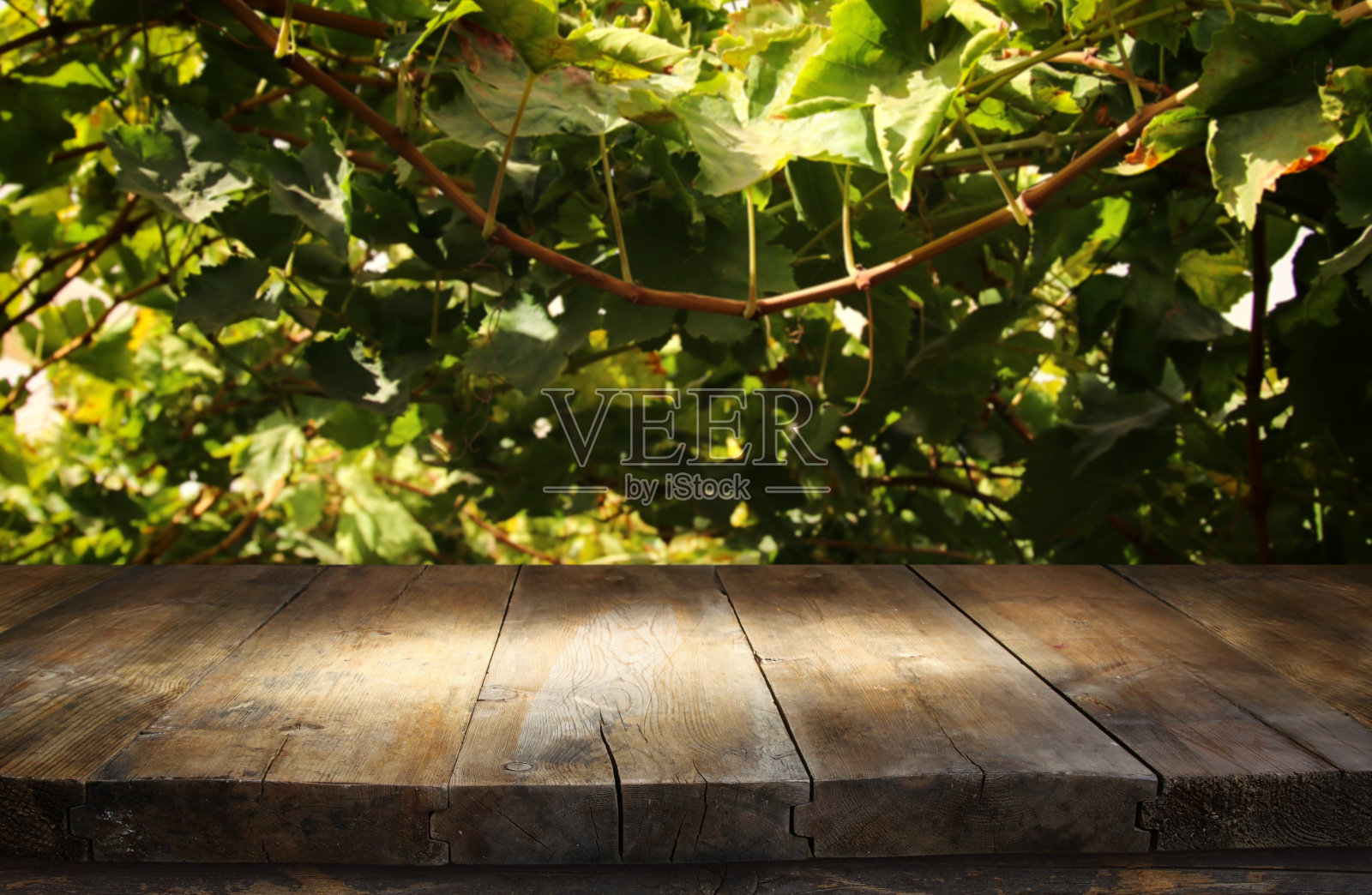 Image of wooden table in front of blurred vineyard landscape at sun light. Ready for product display montage.照片摄影图片