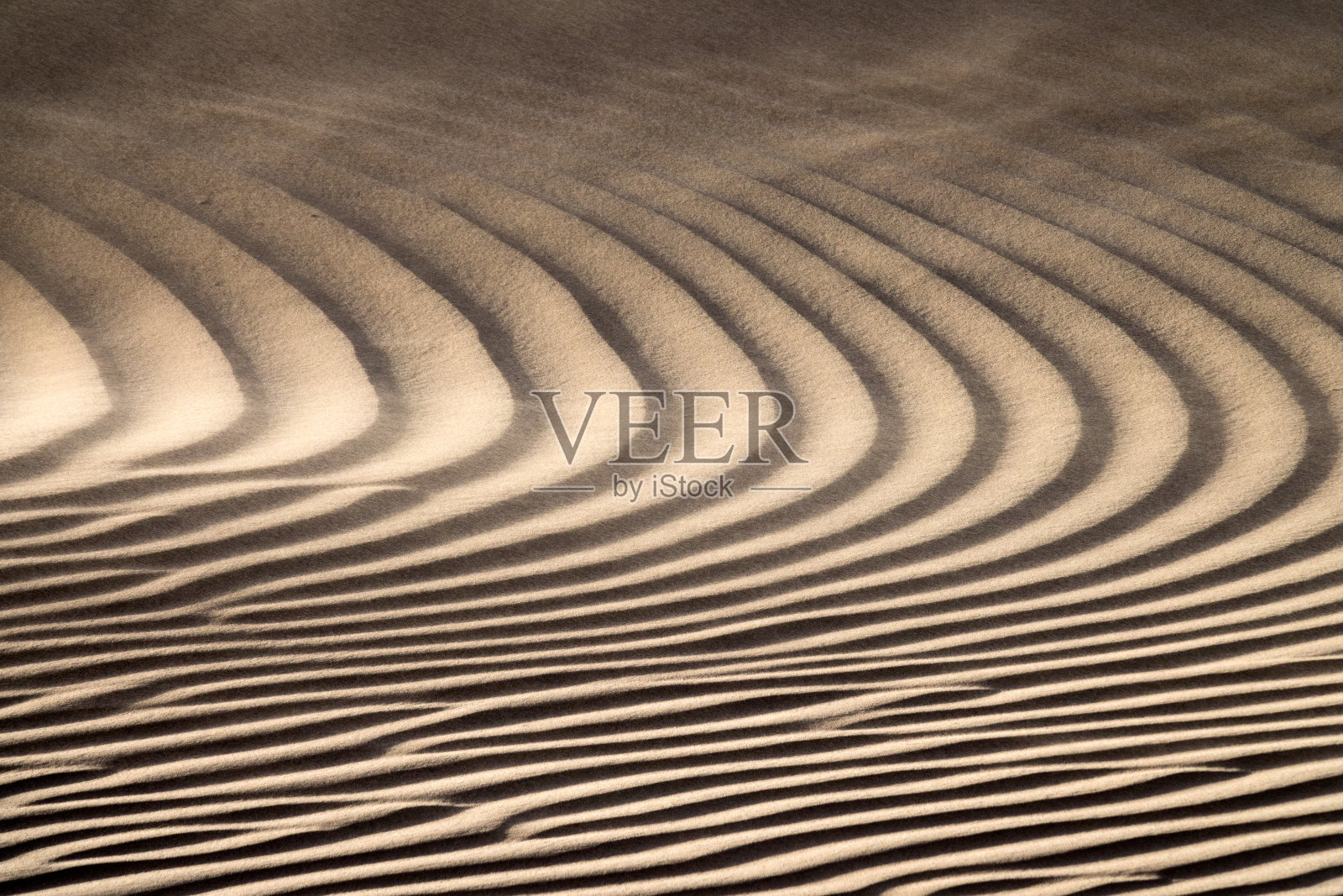 风中的沙丘，撒哈拉沙漠照片摄影图片