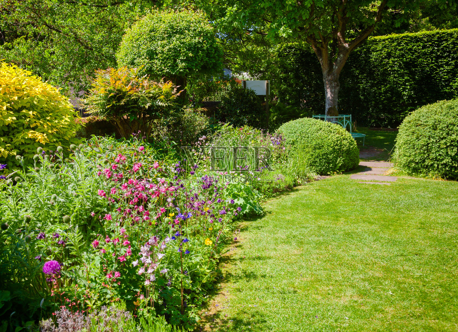 绿色夏季英国花园英国南部照片摄影图片