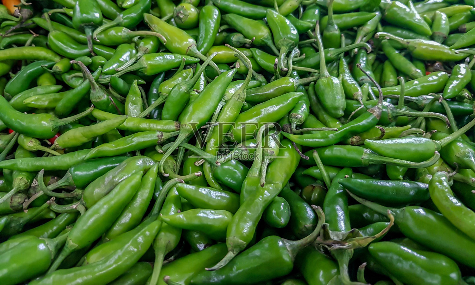新鲜的青椒可以在蔬菜市场出售照片摄影图片