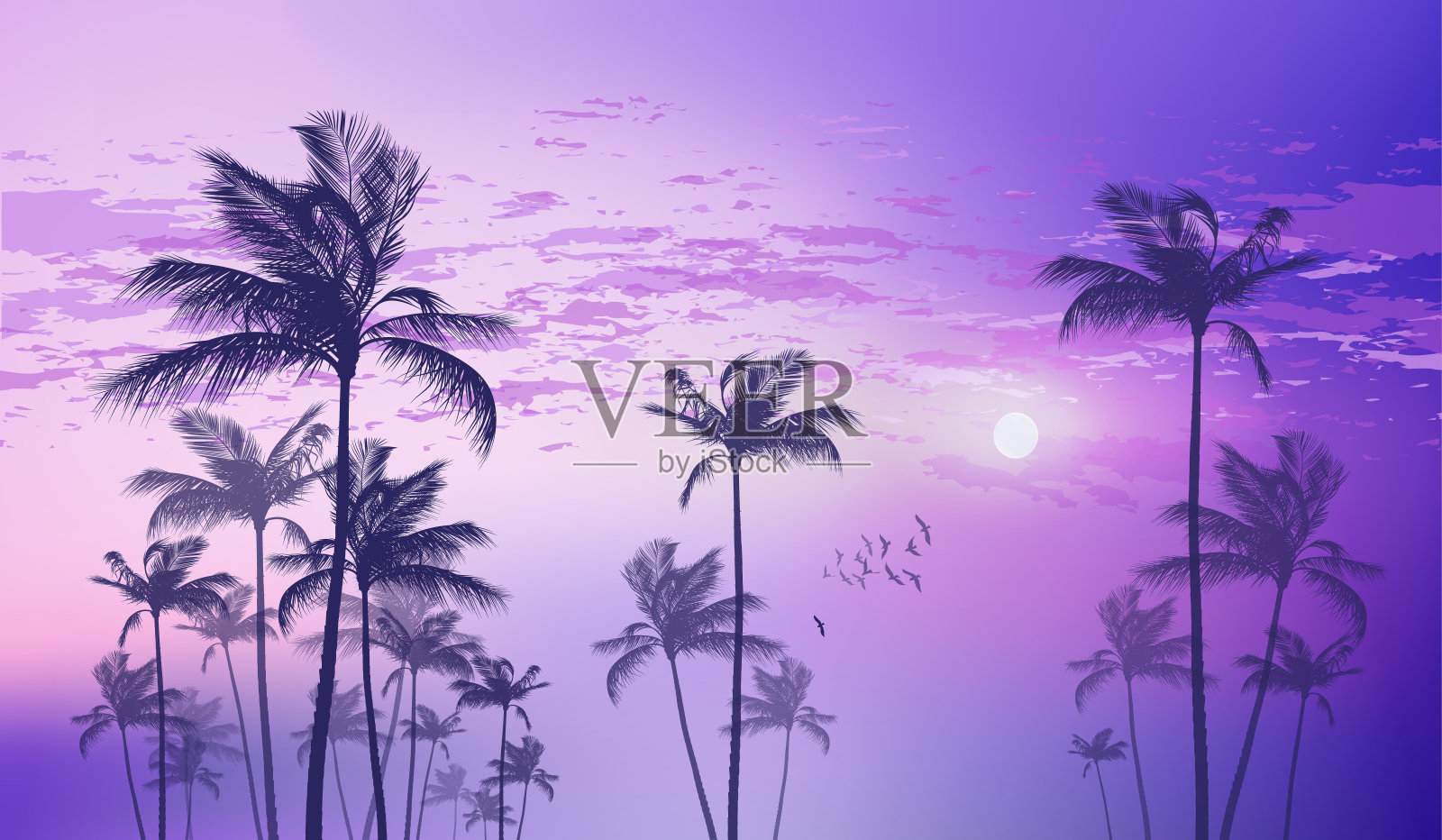 日落或月光下的热带棕榈树插画图片素材