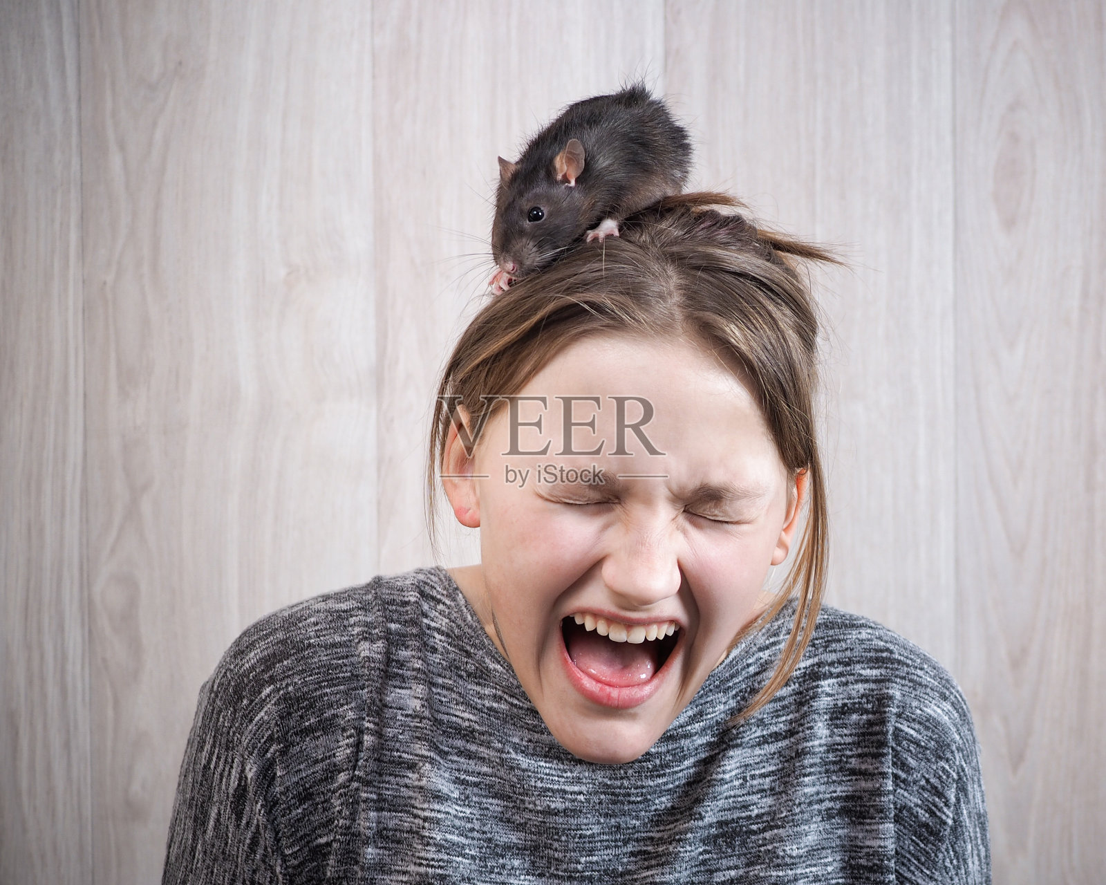 女孩在恐慌中大叫。她的头上坐着一只老鼠照片摄影图片