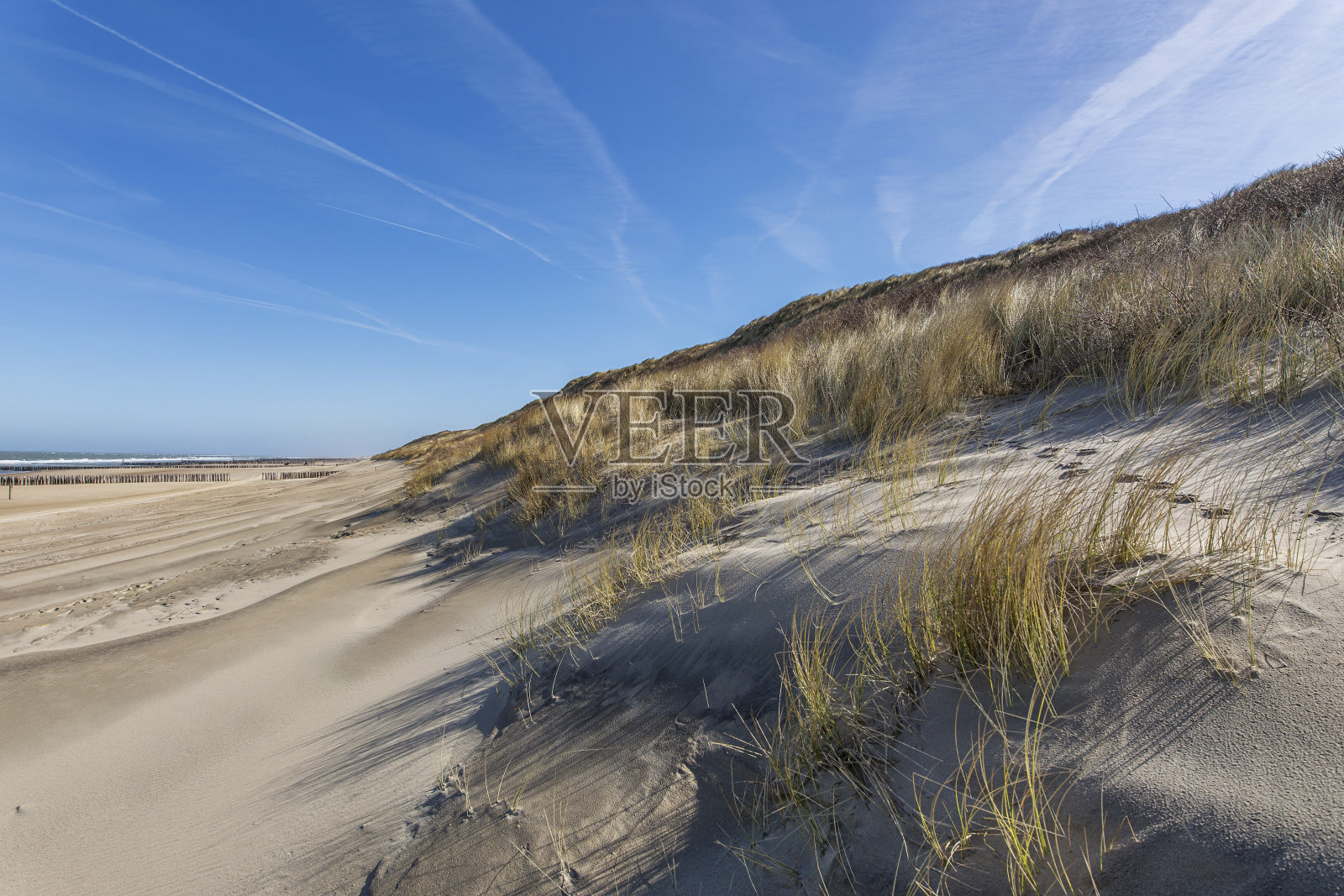东堡海滩的风使荷兰草沙丘的沙子变直照片摄影图片