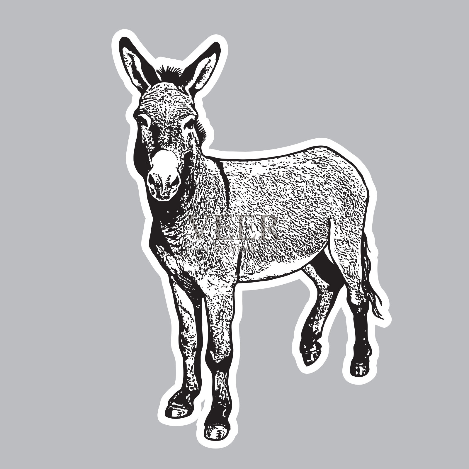 驴子-黑白肖像在前面的观点。设计元素图片