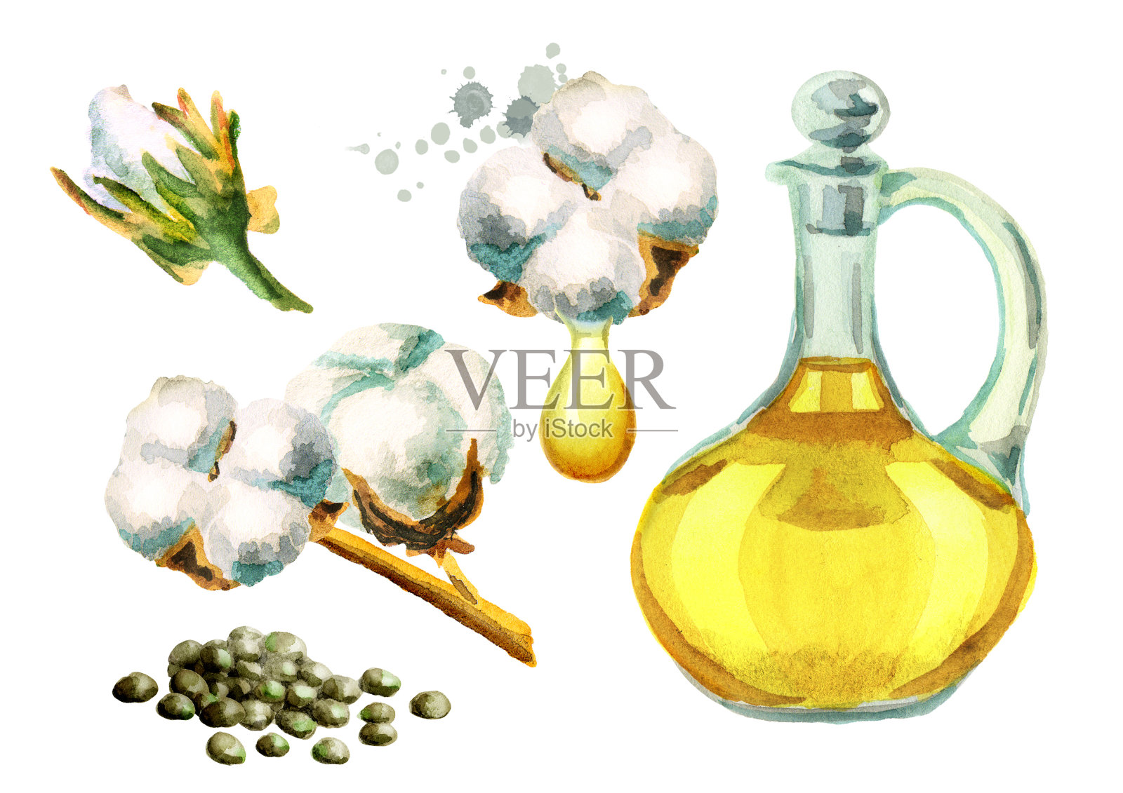 天然棉籽油集。水彩插图插画图片素材