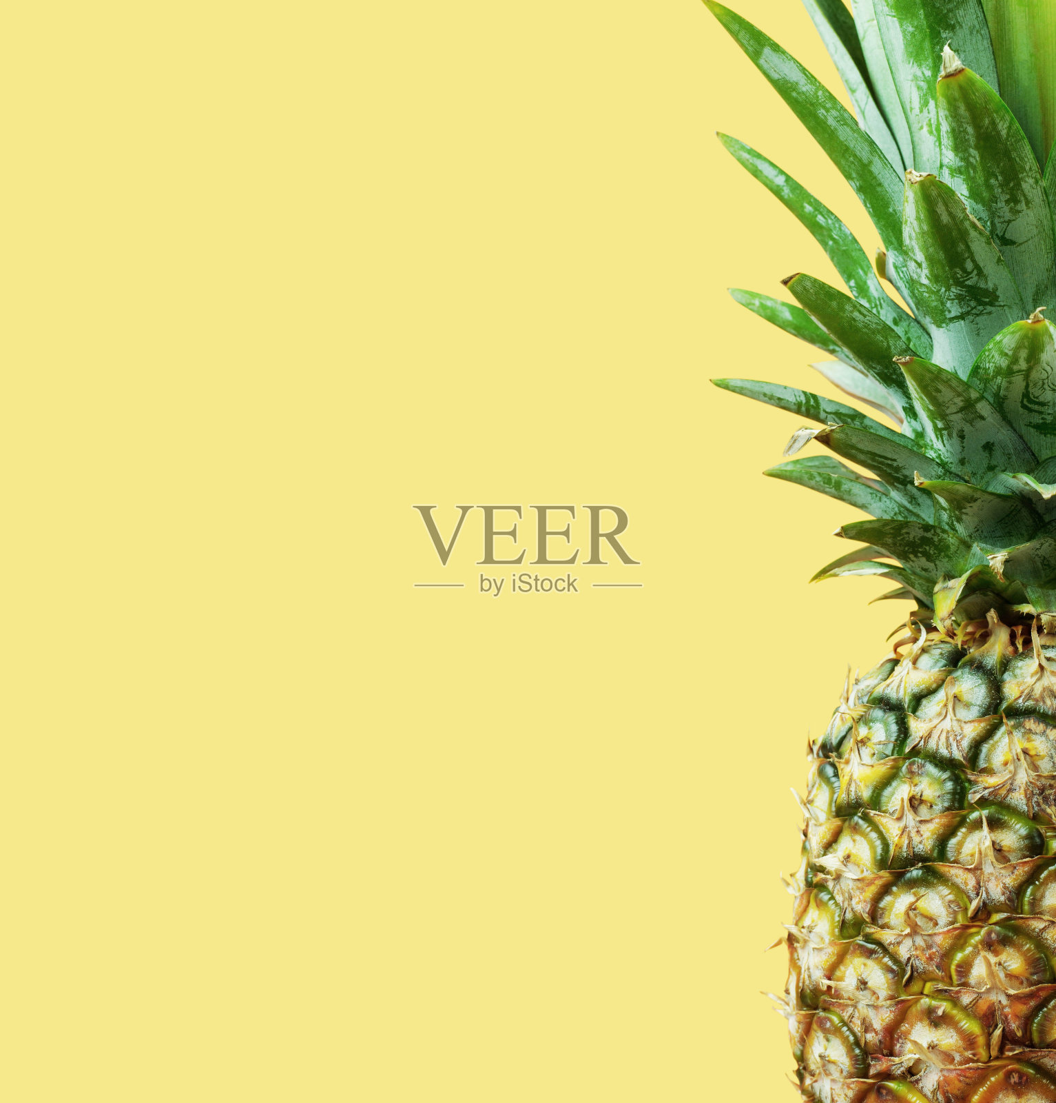 黄色背景上的菠萝。插画图片素材