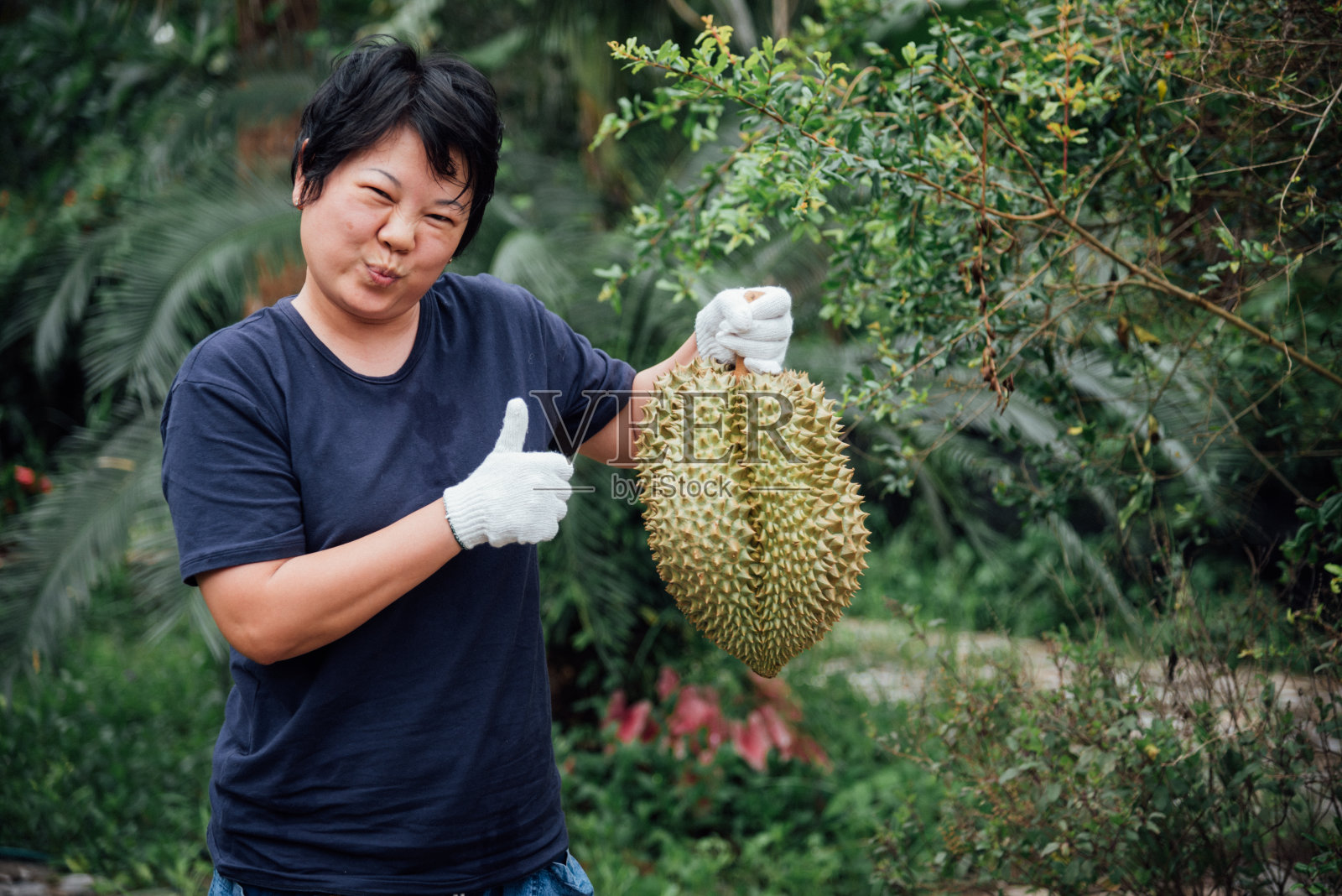 种植榴莲的亚洲农民是水果之王照片摄影图片