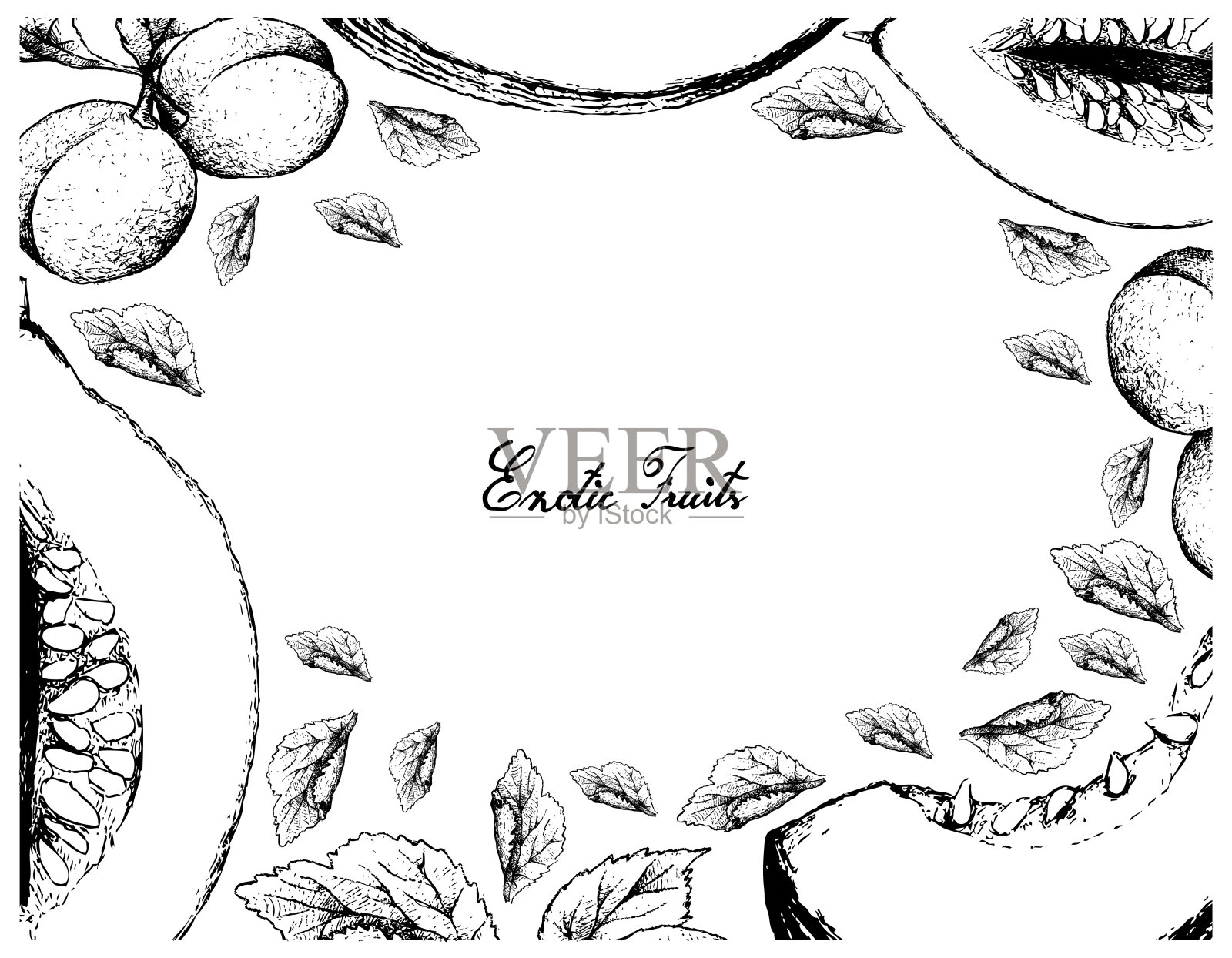 卡萨巴瓜和欧洲李果的手绘架插画图片素材