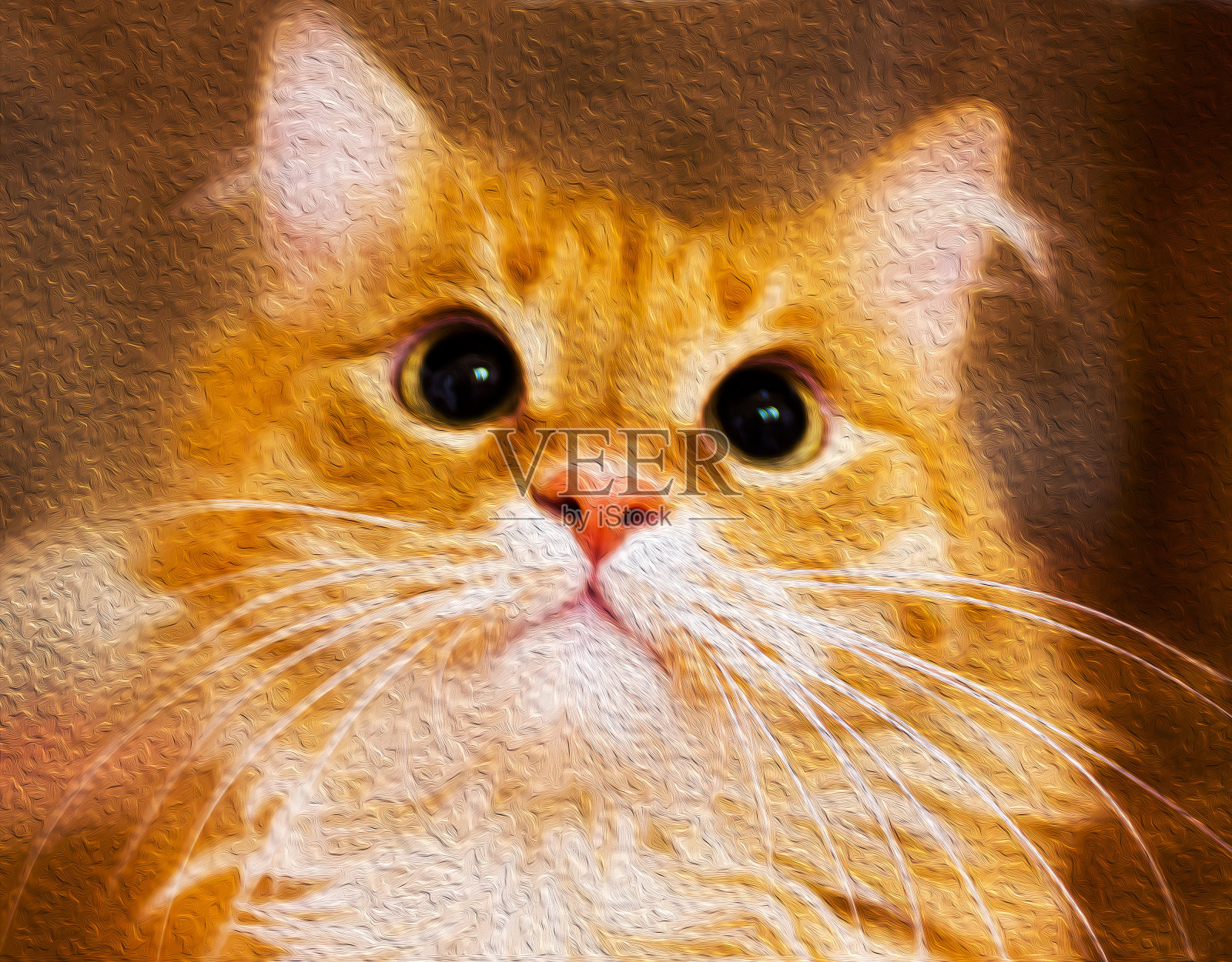 毛茸茸的姜猫特写，插图模仿油画。照片摄影图片