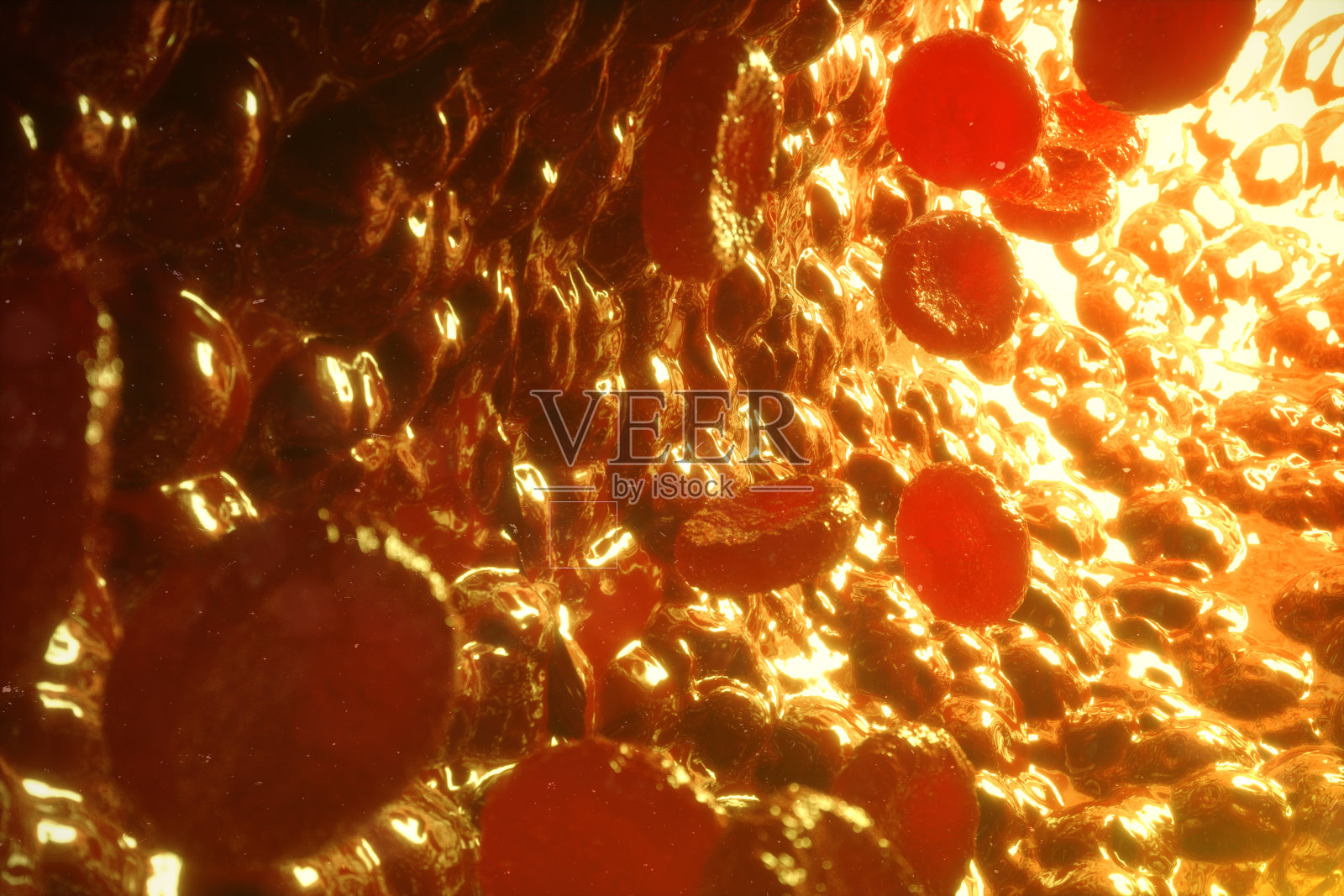 静脉或动脉中的红细胞，在活体内部流动，3d渲染照片摄影图片