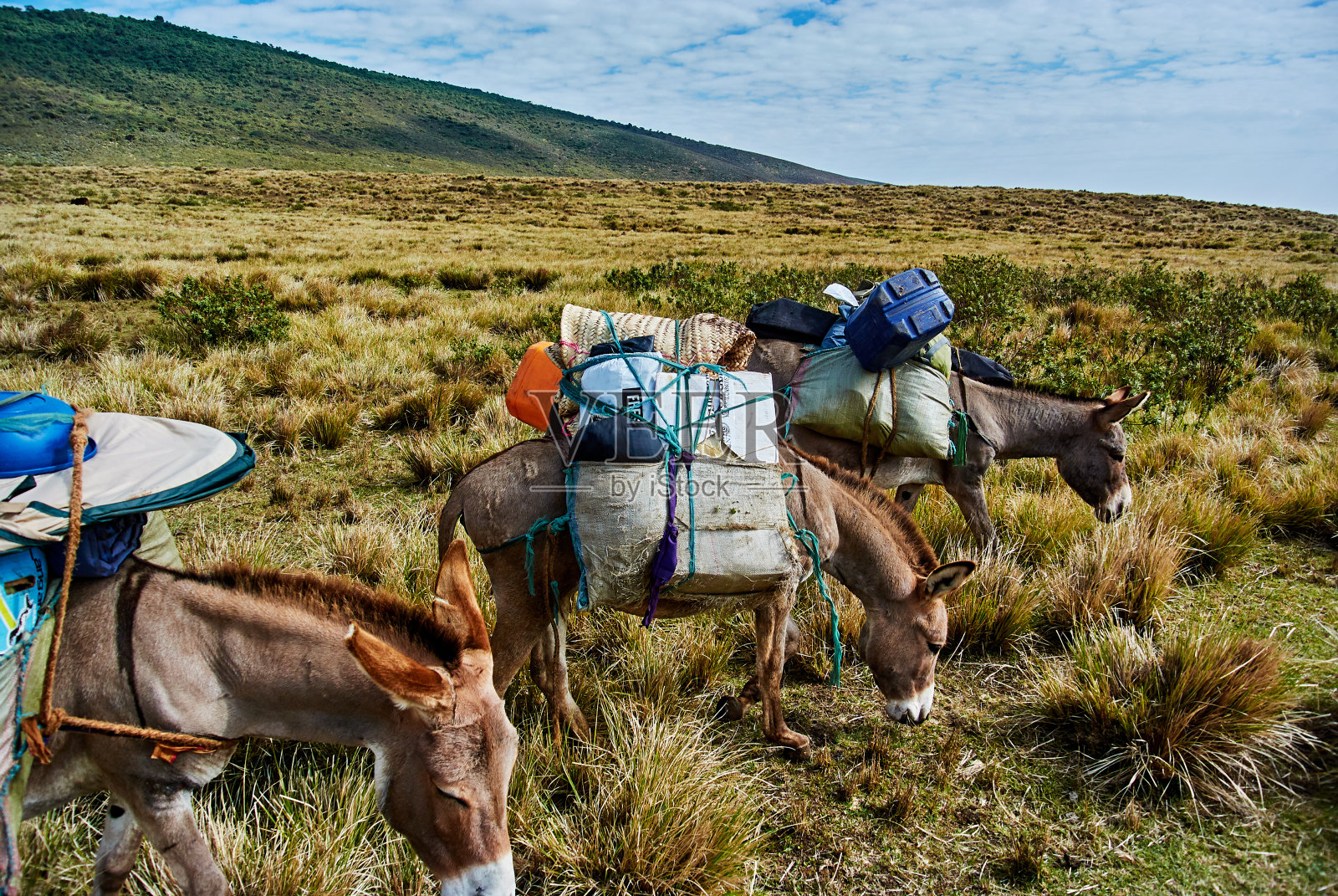 传统的马赛人和骑警徒步在火山口山照片摄影图片