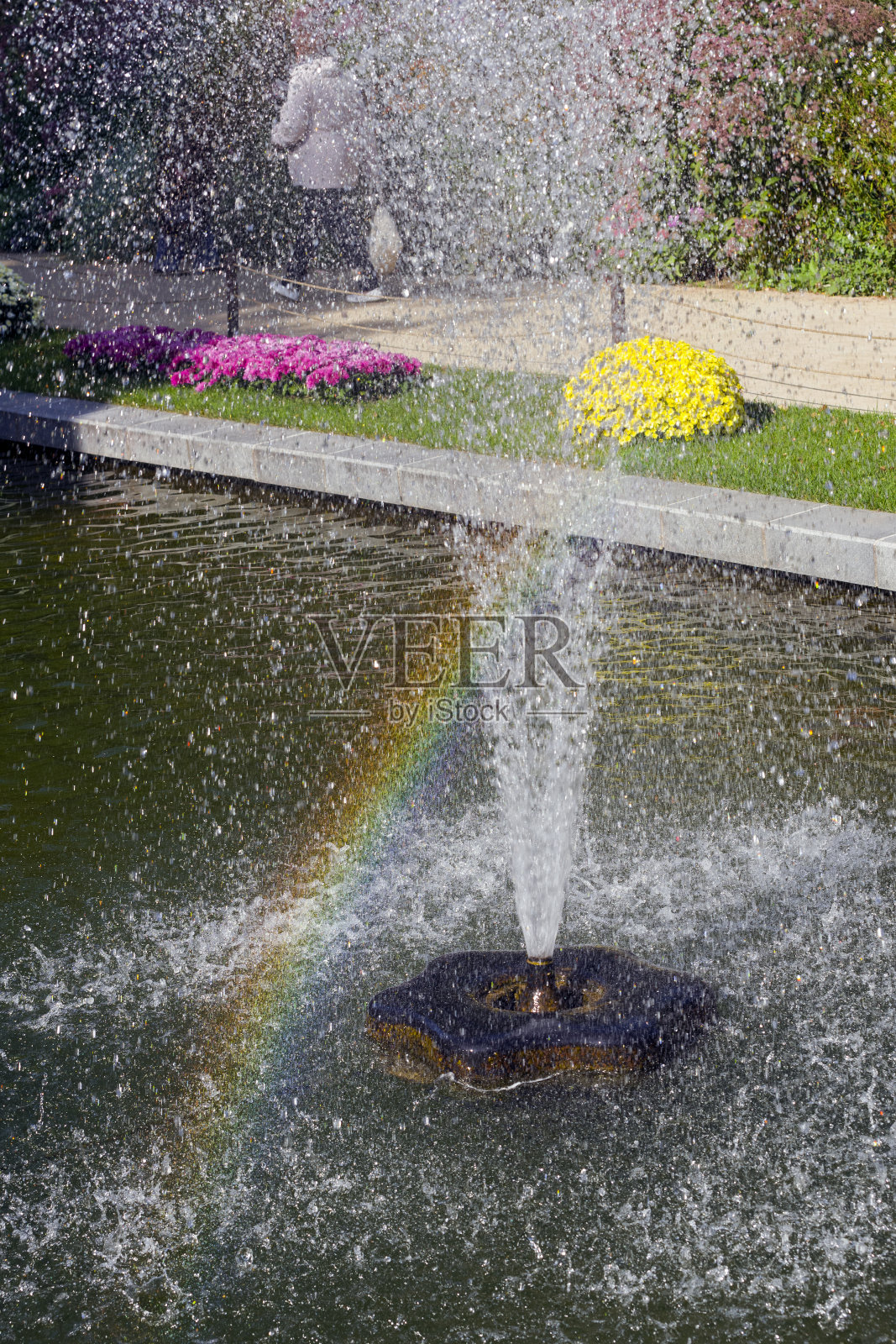 彩虹在喷水池的浪花中。照片摄影图片