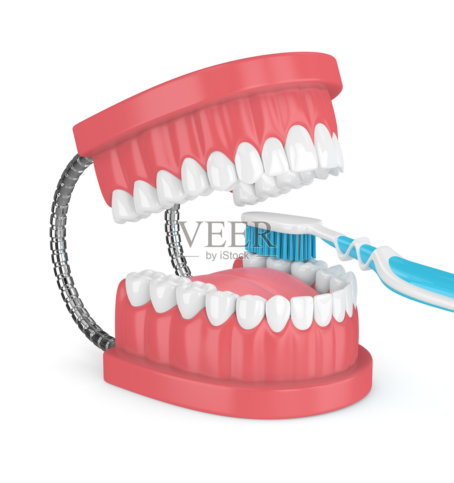 颚模型的3d渲染与牙刷在白色照片摄影图片