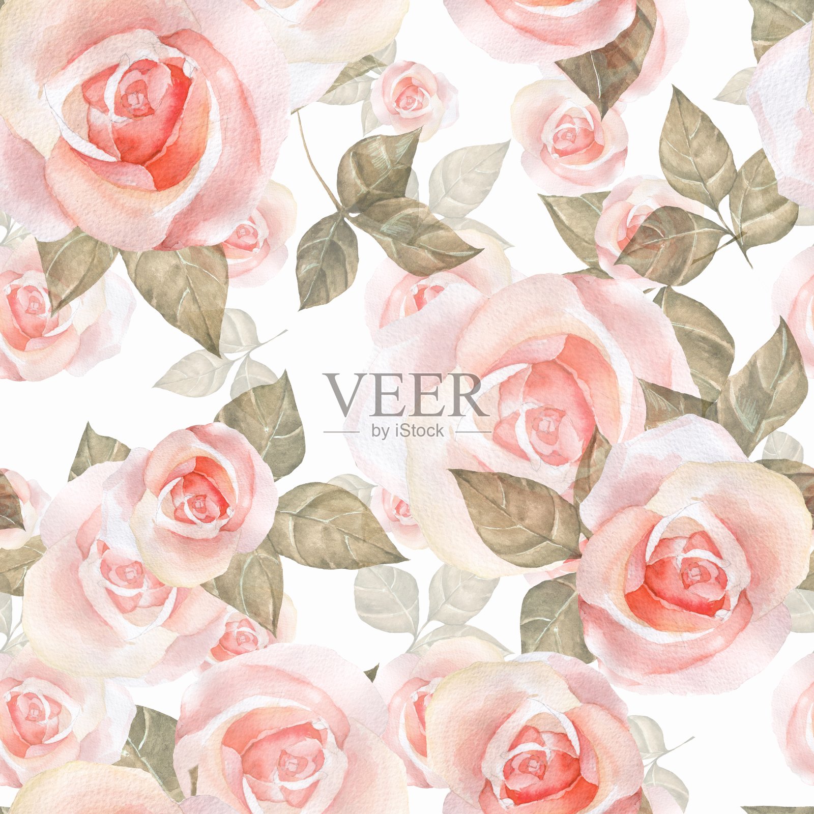精致玫瑰，水彩花型无缝9个图案插画图片素材