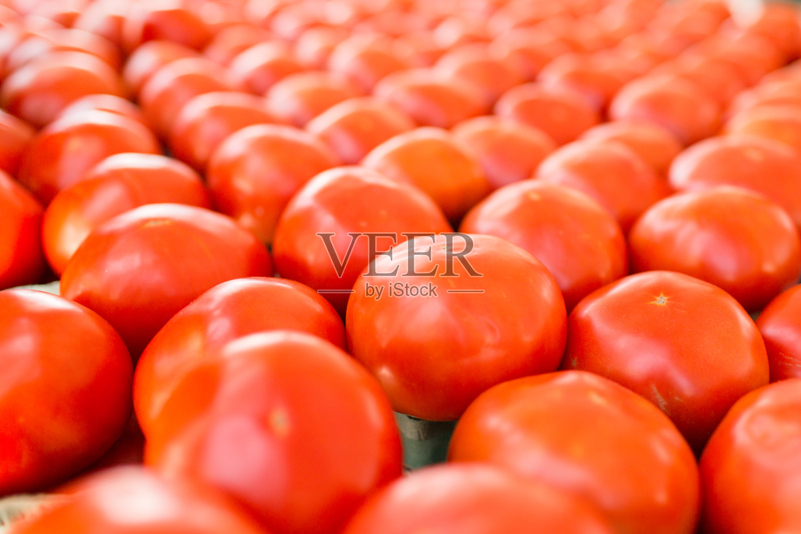 红色的西红柿照片摄影图片