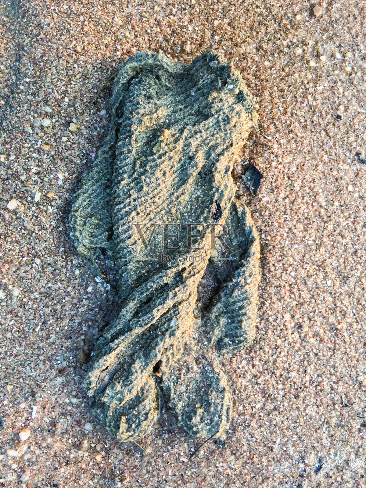 在海滩上，一只肮脏的针织冬季手套照片摄影图片