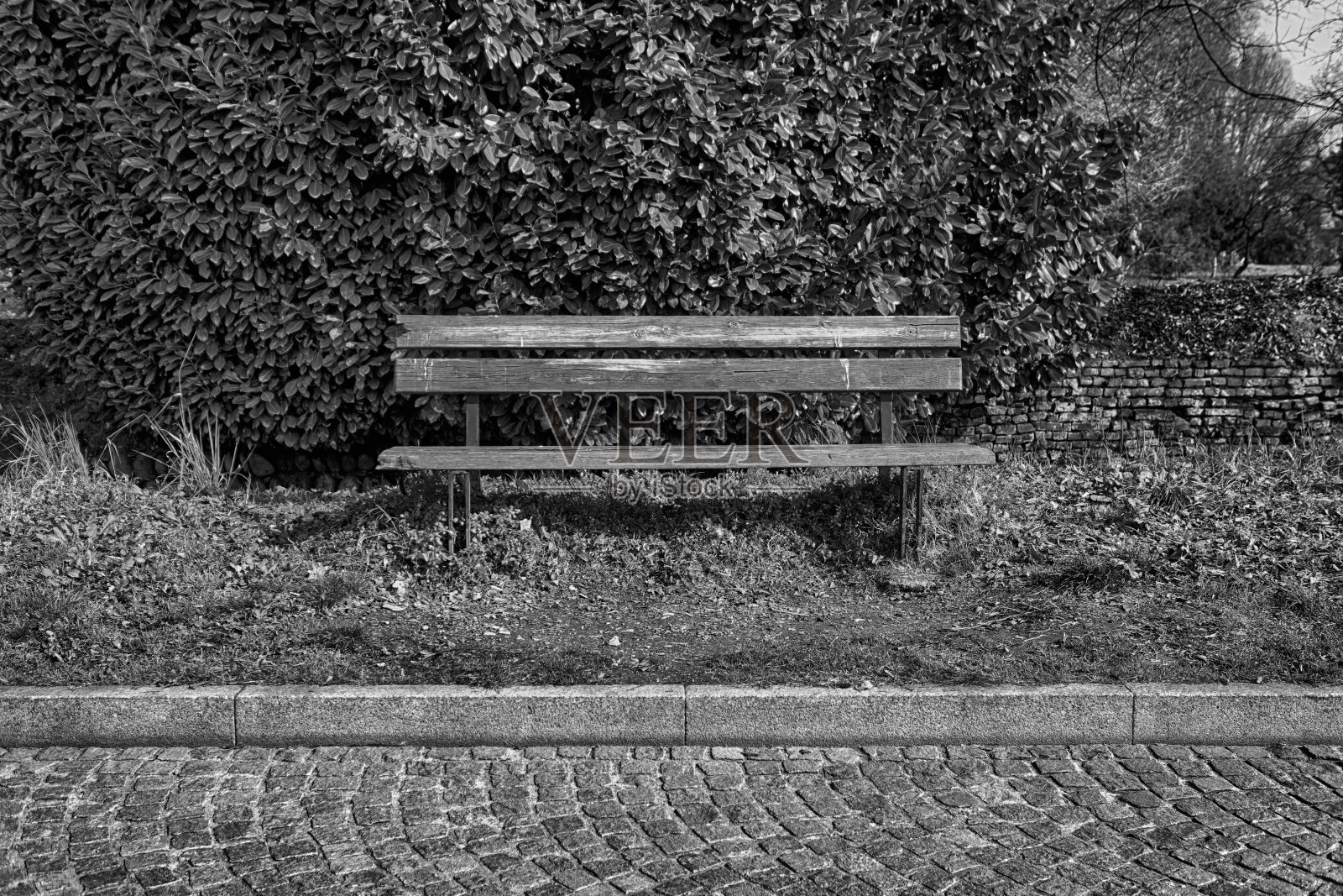 阳光明媚的意大利公共公园里的一张木凳照片摄影图片