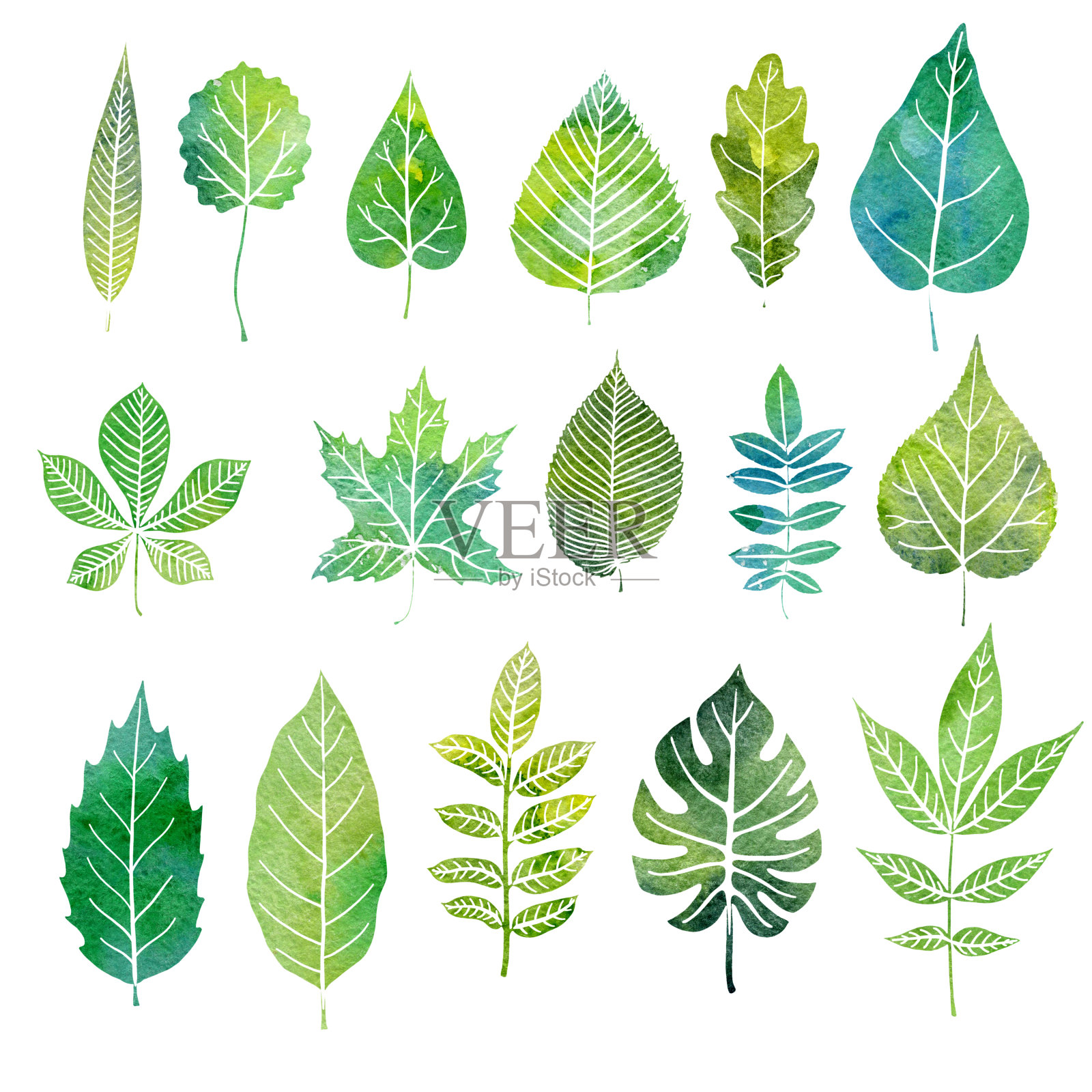 一组树叶水彩画设计元素图片