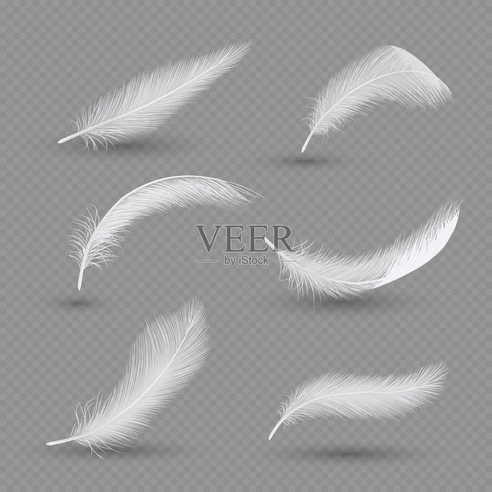 白色鸟类羽毛图标设置，矢量现实插图设计元素图片