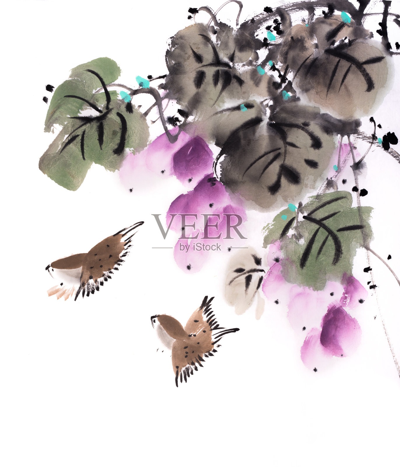 中国传统水墨画:一串紫葡萄和鸟插画图片素材