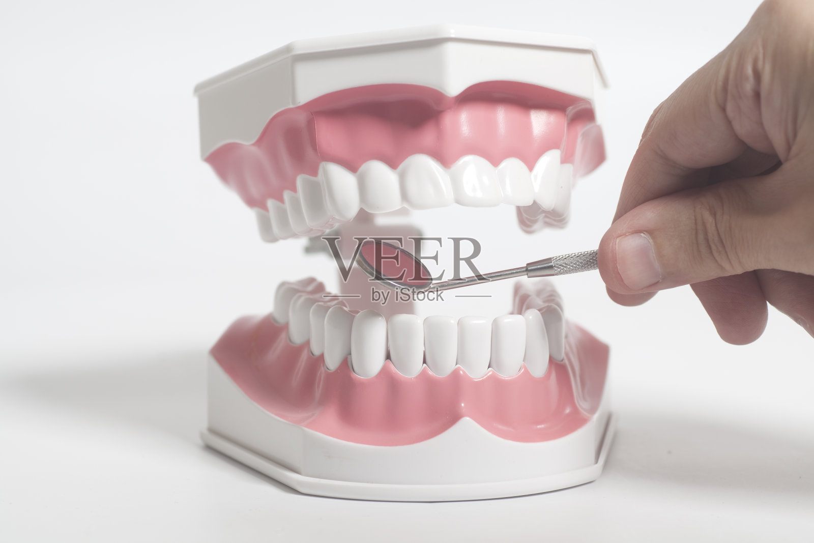 白色的人类牙齿模型和牙科镜器械，医生的手放在白色的背景上。照片摄影图片