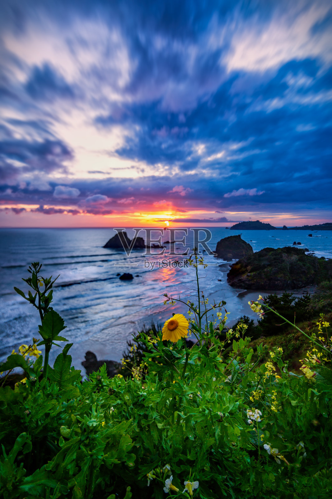 加州日落与野花照片摄影图片