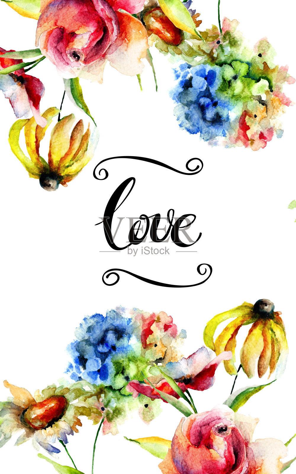 绣球花、木槿和玫瑰的爱情插画图片素材