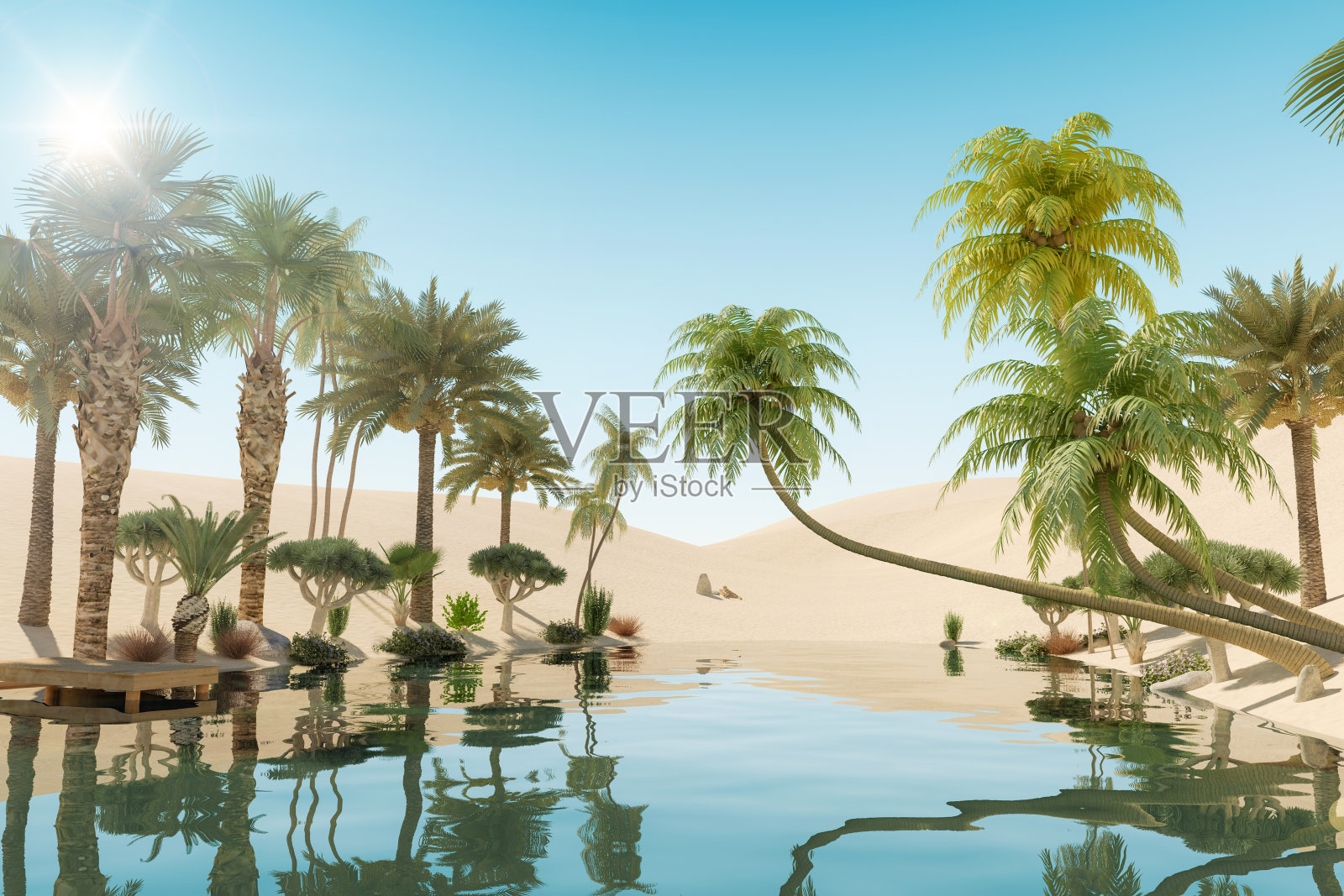 沙漠中的绿洲和棕榈树，3D渲染照片摄影图片