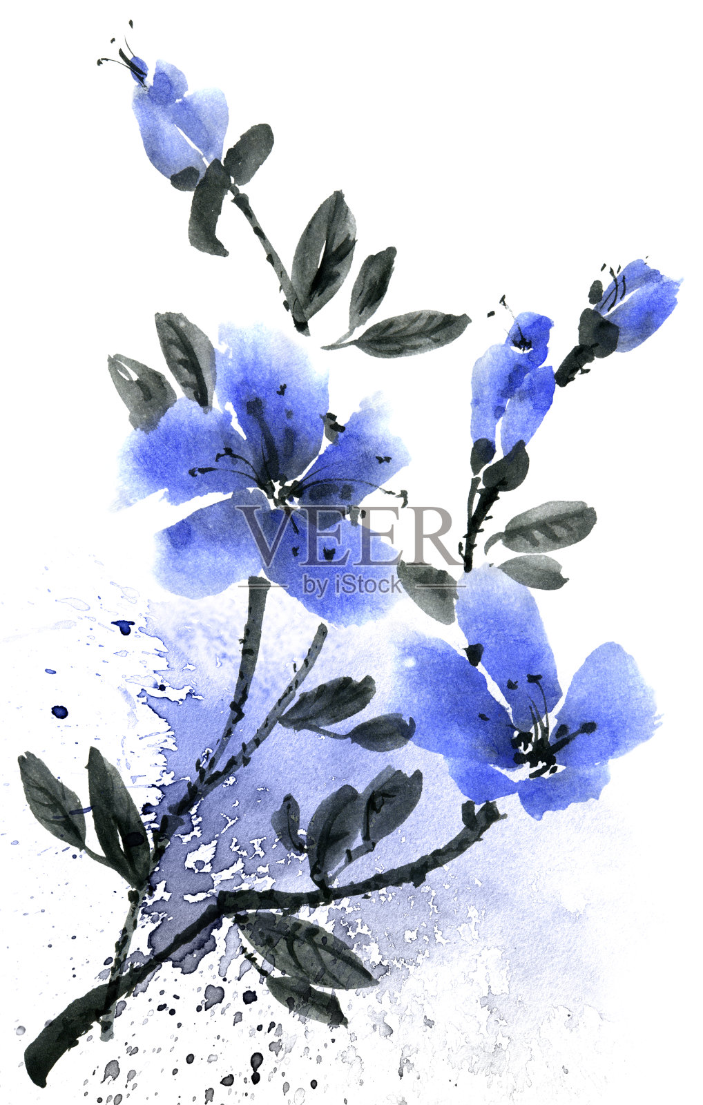 水彩和水墨画的树枝与蓝色的花。总和插画图片素材