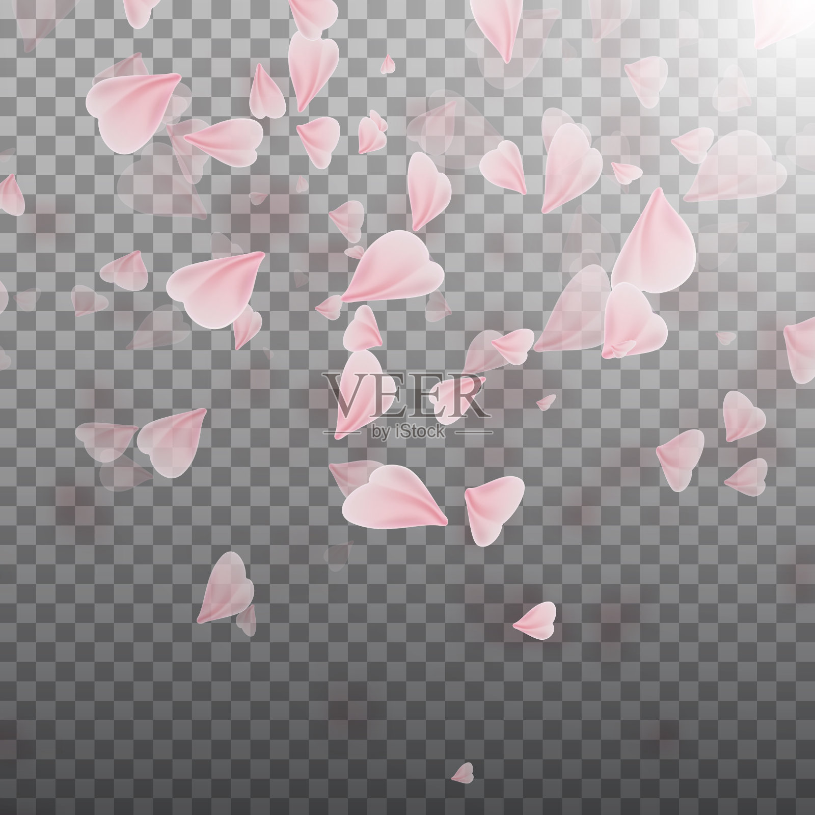 粉红色的樱花落花插画图片素材