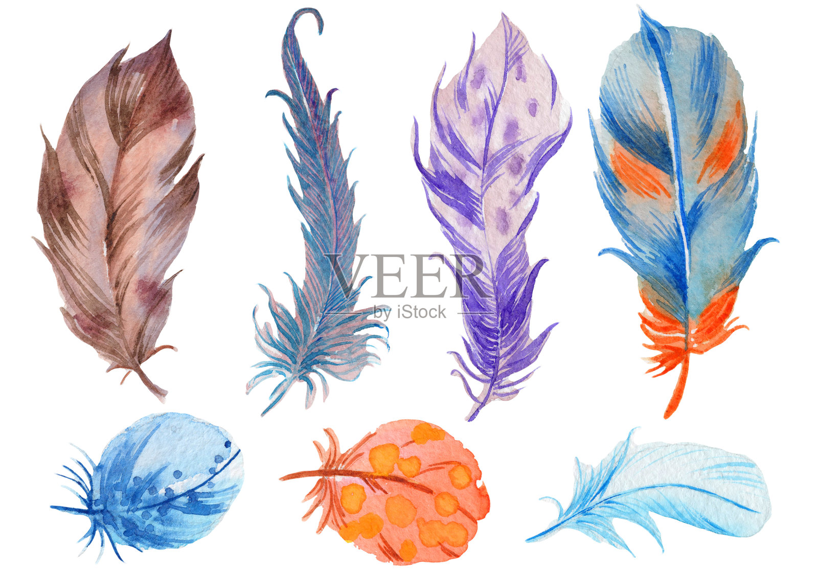 手绘水彩充满活力的羽毛集。设计元素图片