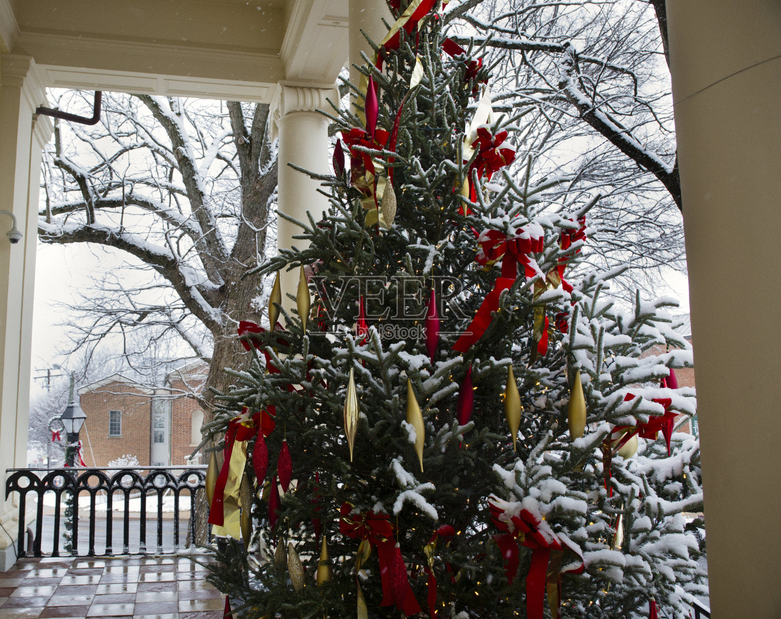 弗吉尼亚州沃伦顿法院的圣诞树。照片摄影图片