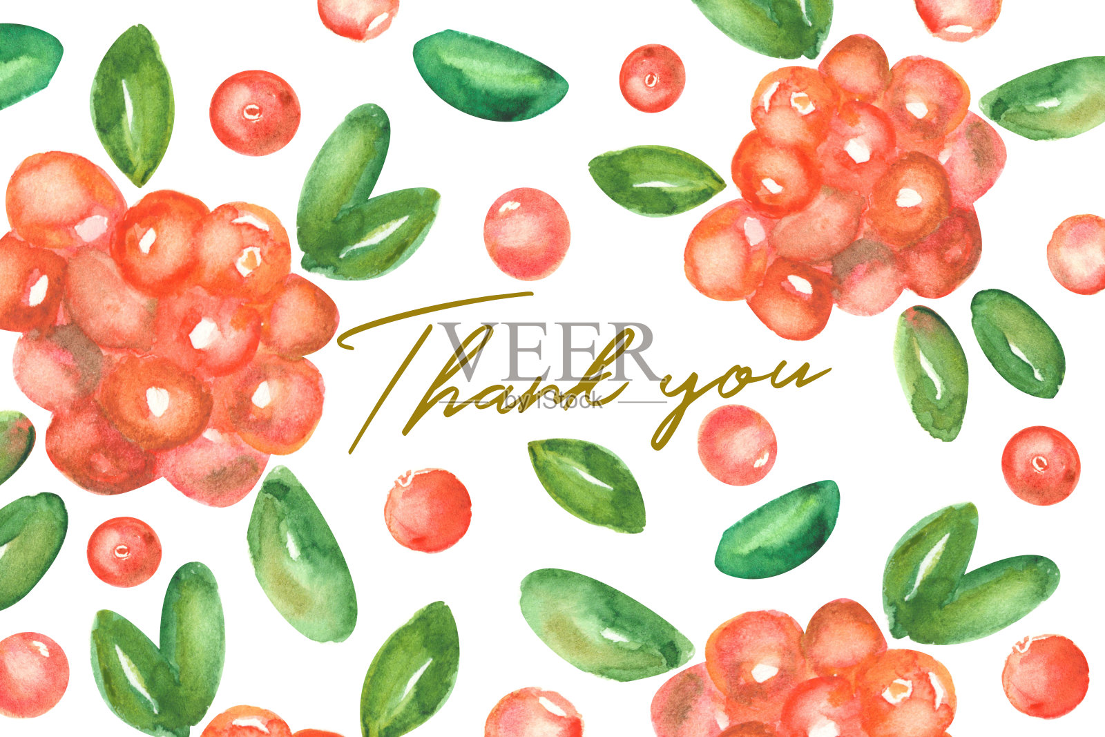 感谢卡装饰水彩蔓越莓和金色文字插画图片素材