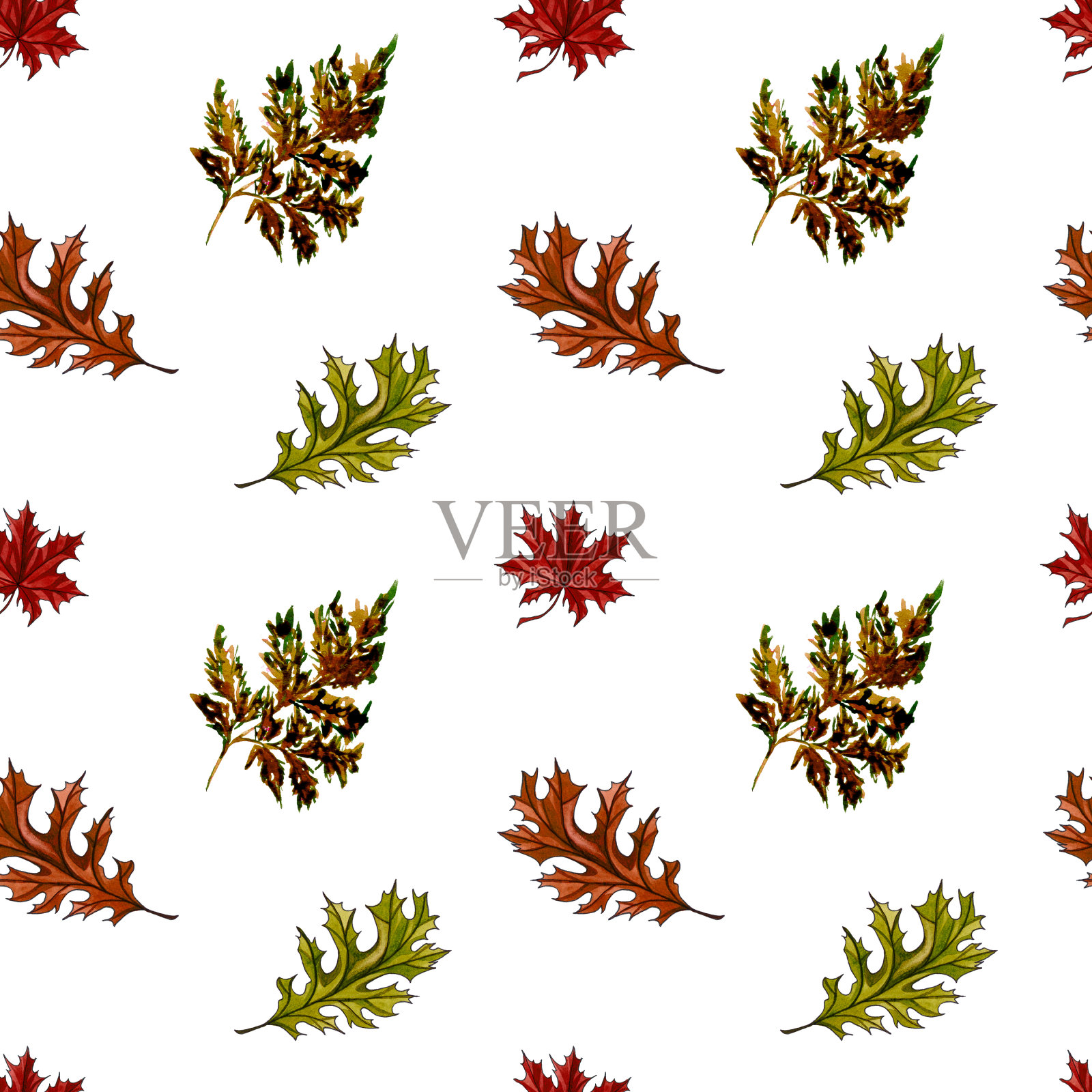 枫树和橡树的叶子，树枝，花束。秋天无缝模式。插画图片素材