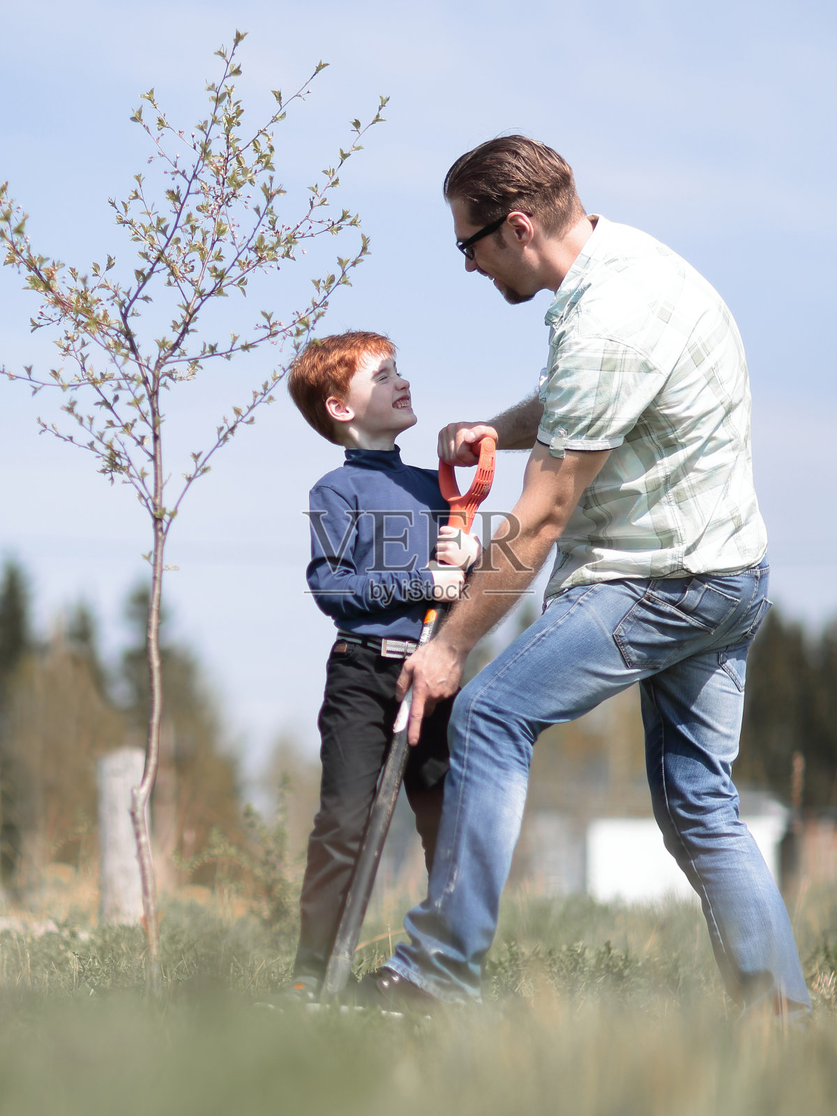 儿子和父亲一起种一棵树照片摄影图片