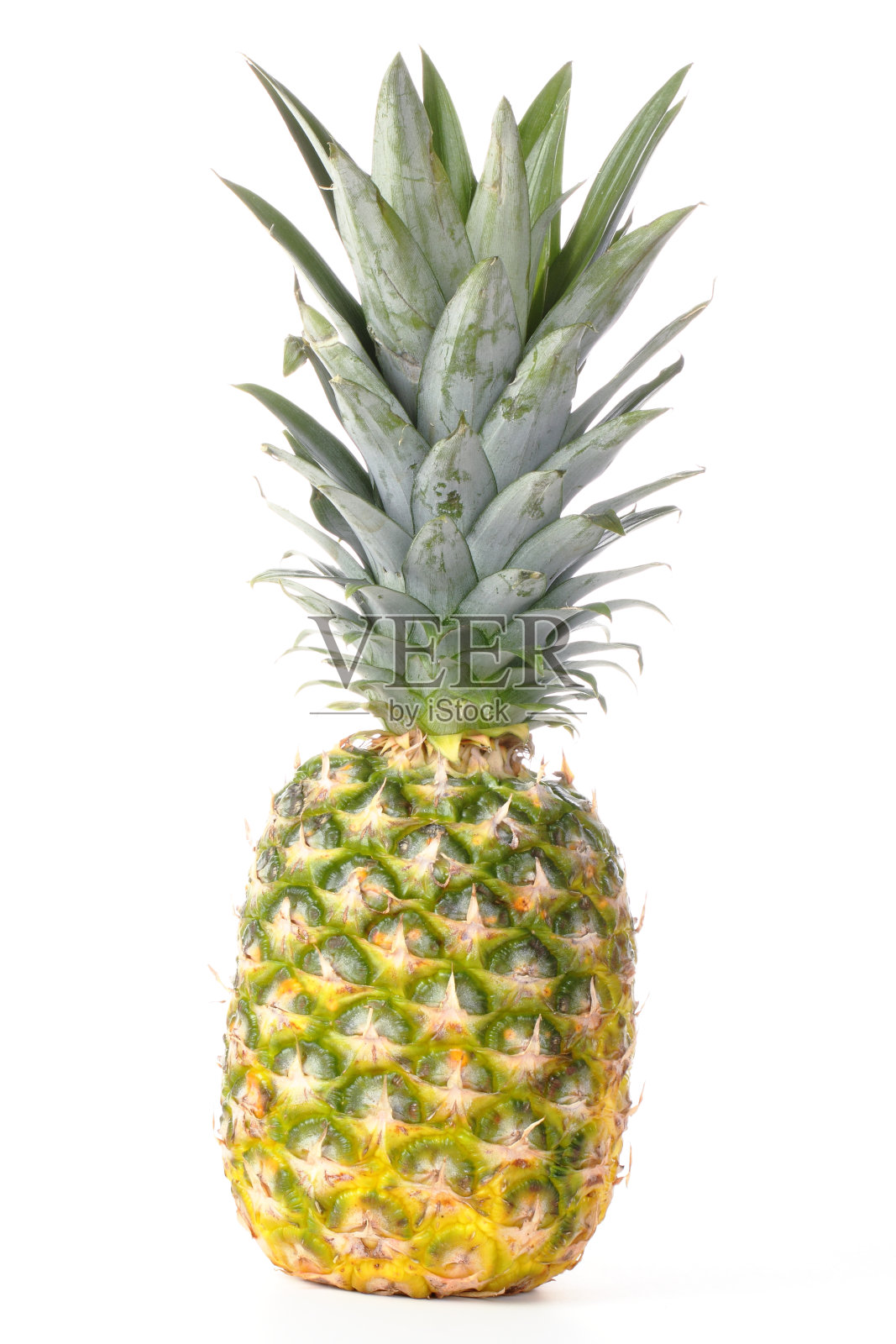 菠萝，一种成熟的，新鲜的水果食品，整个，孤立的白色照片摄影图片