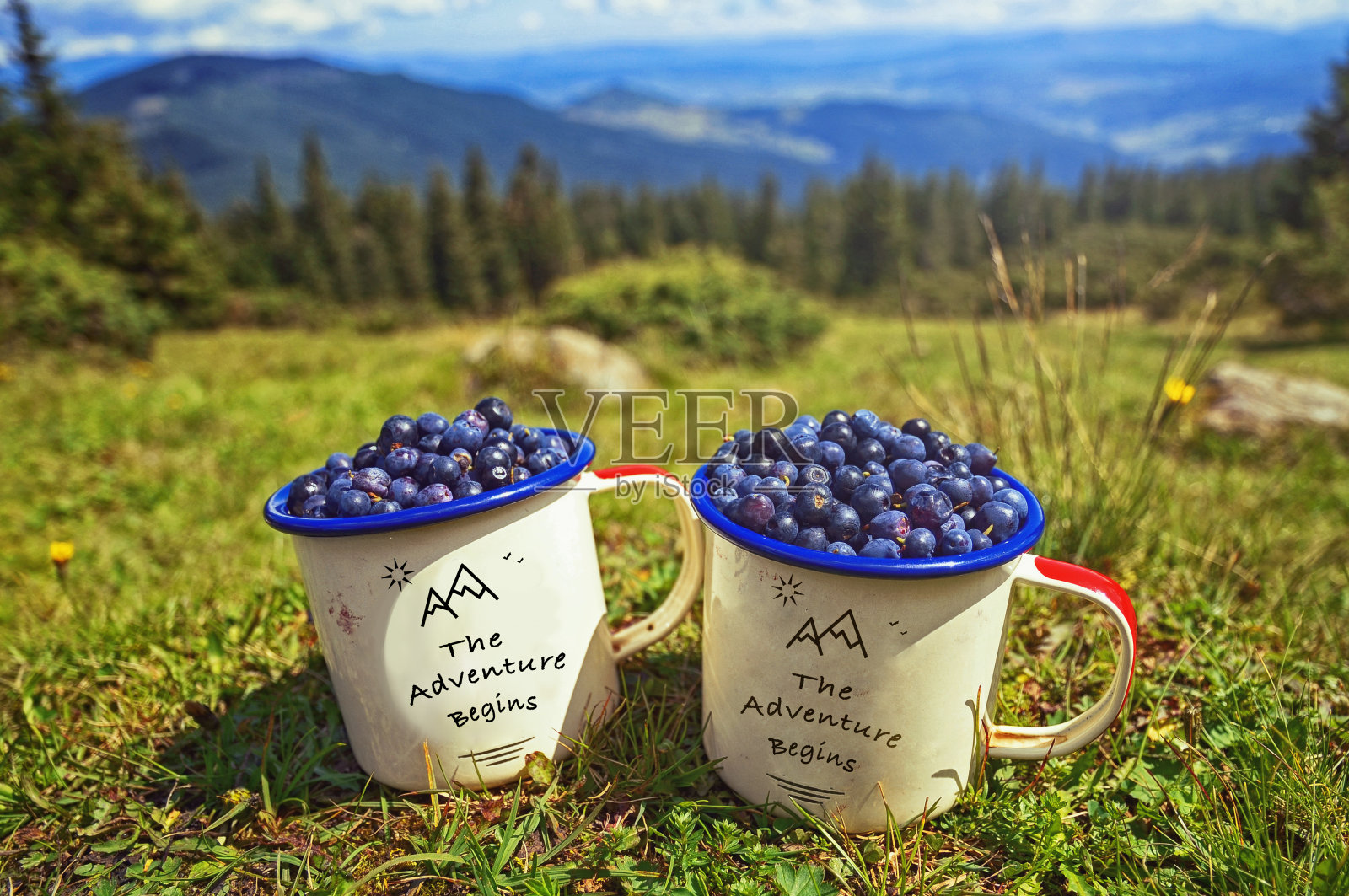 两杯蓝莓，背景是阳光明媚的山草和小山照片摄影图片