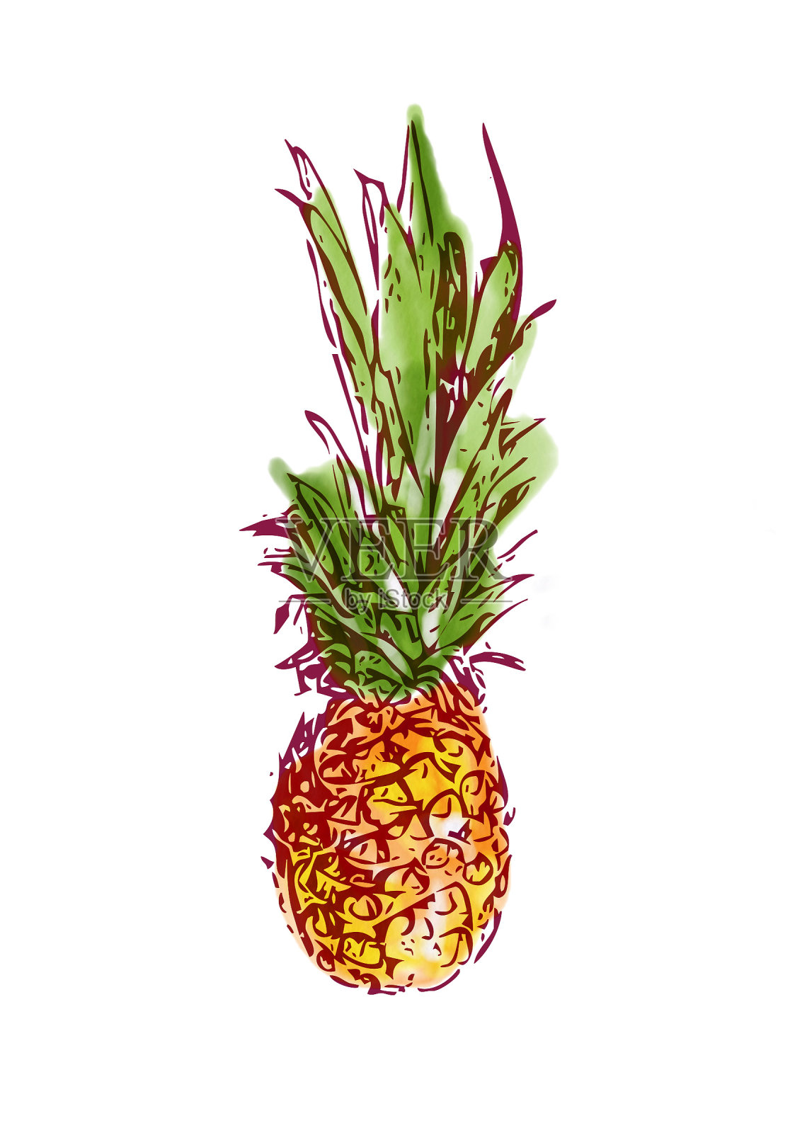 菠萝插画图片素材