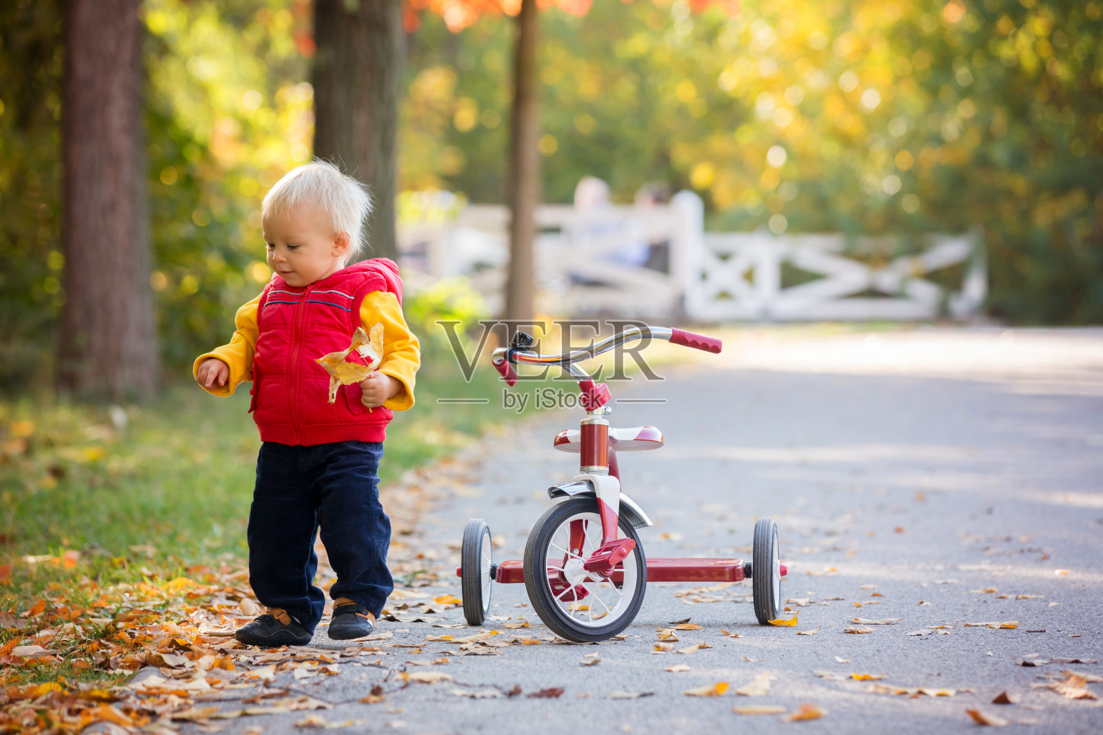 可爱的蹒跚学步的男孩，骑着三轮车在公园日落，秋天的时间，兄弟姐妹在公园照片摄影图片