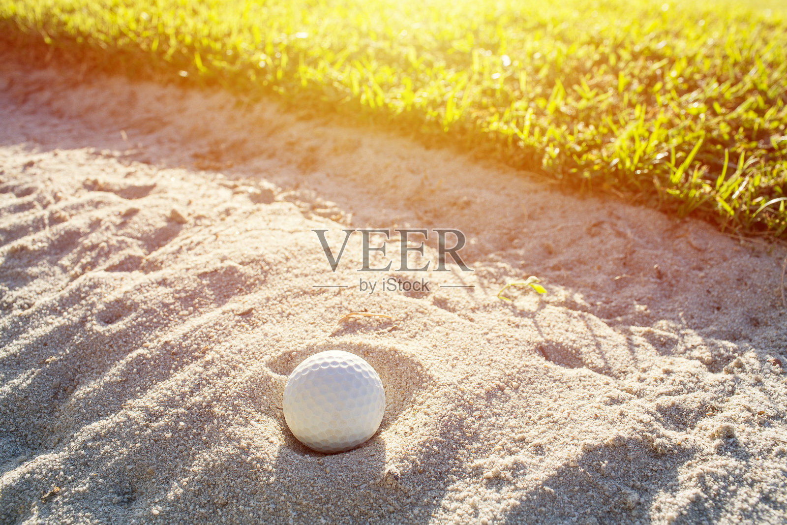 白色高尔夫球在阳光的照射下，选择性地聚焦在绿色场地和沙坑上。照片摄影图片