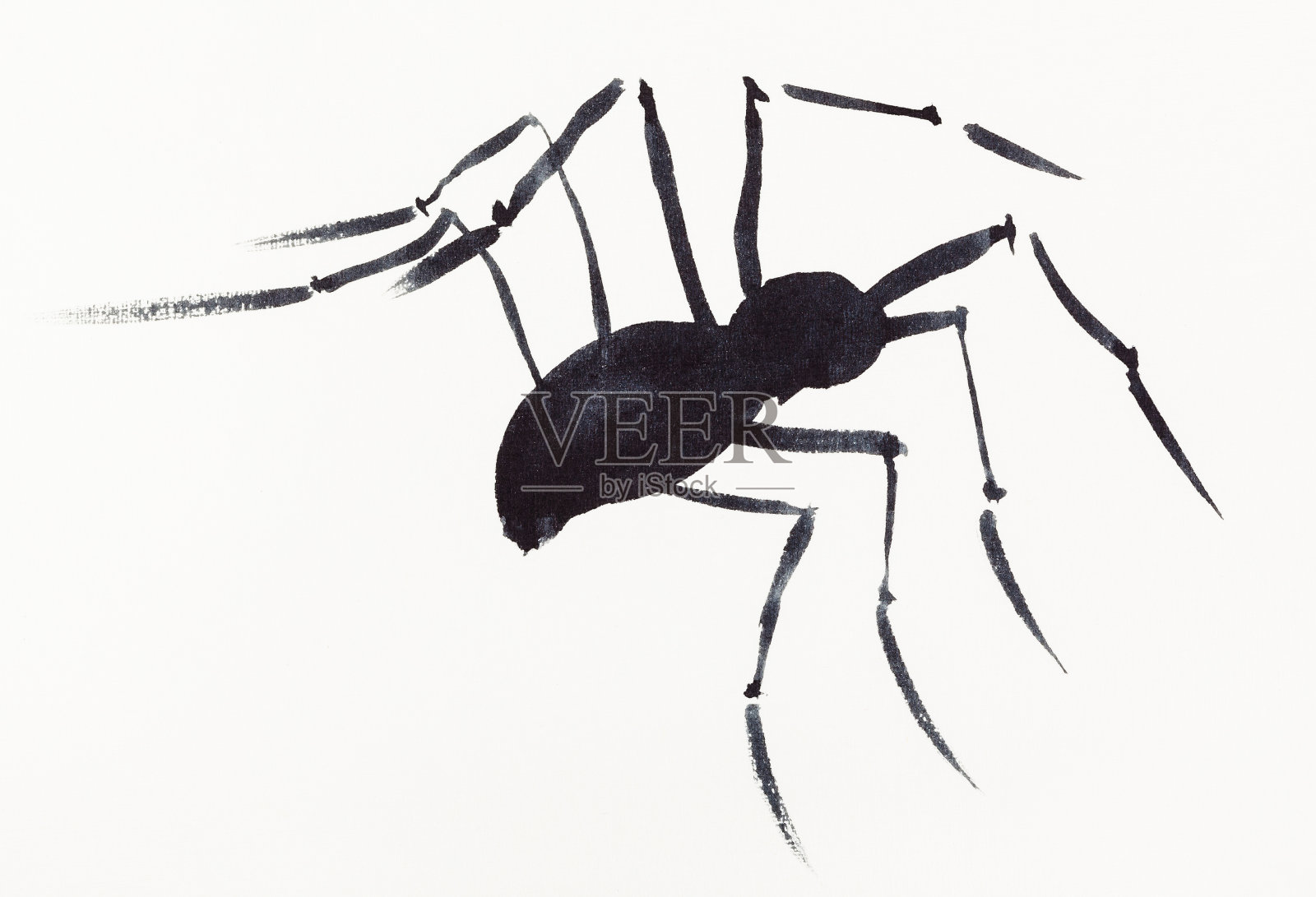 一只用黑色水彩画的蜘蛛插画图片素材