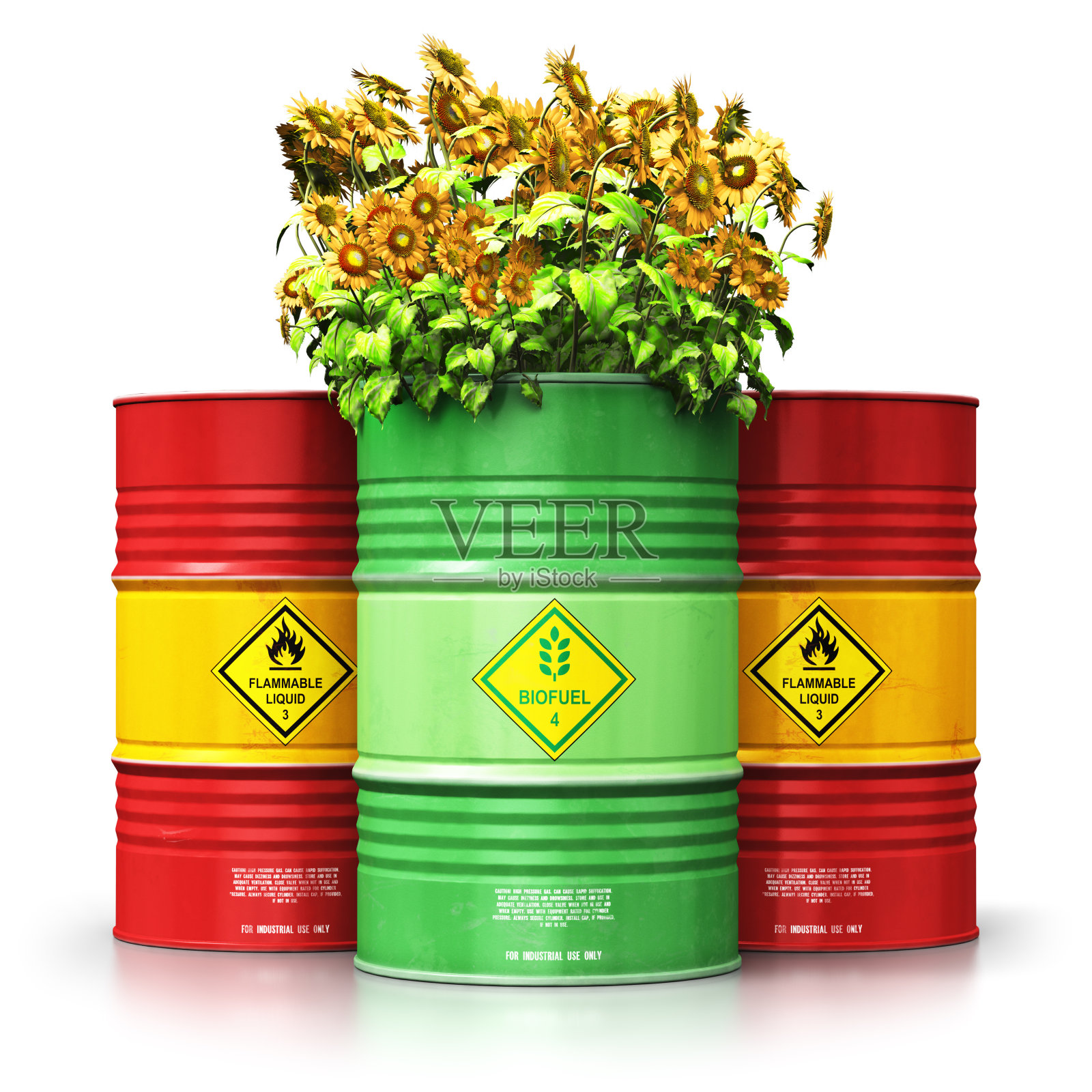 绿色生物燃料桶与向日葵前面的红色石油或天然气桶孤立在白色照片摄影图片